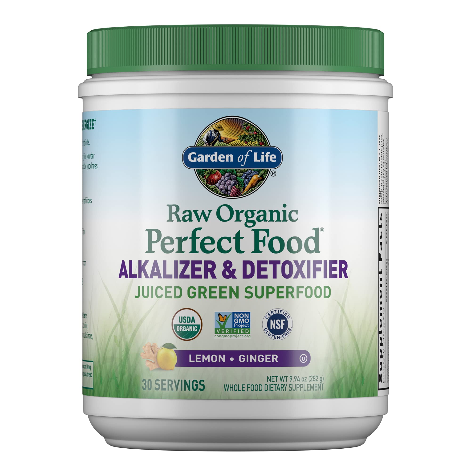 Garden of Life Raw Organic Perfect Food Alkalizer & Detoxifier Juiced Greens Superfood Garden of Life buy supplements canada