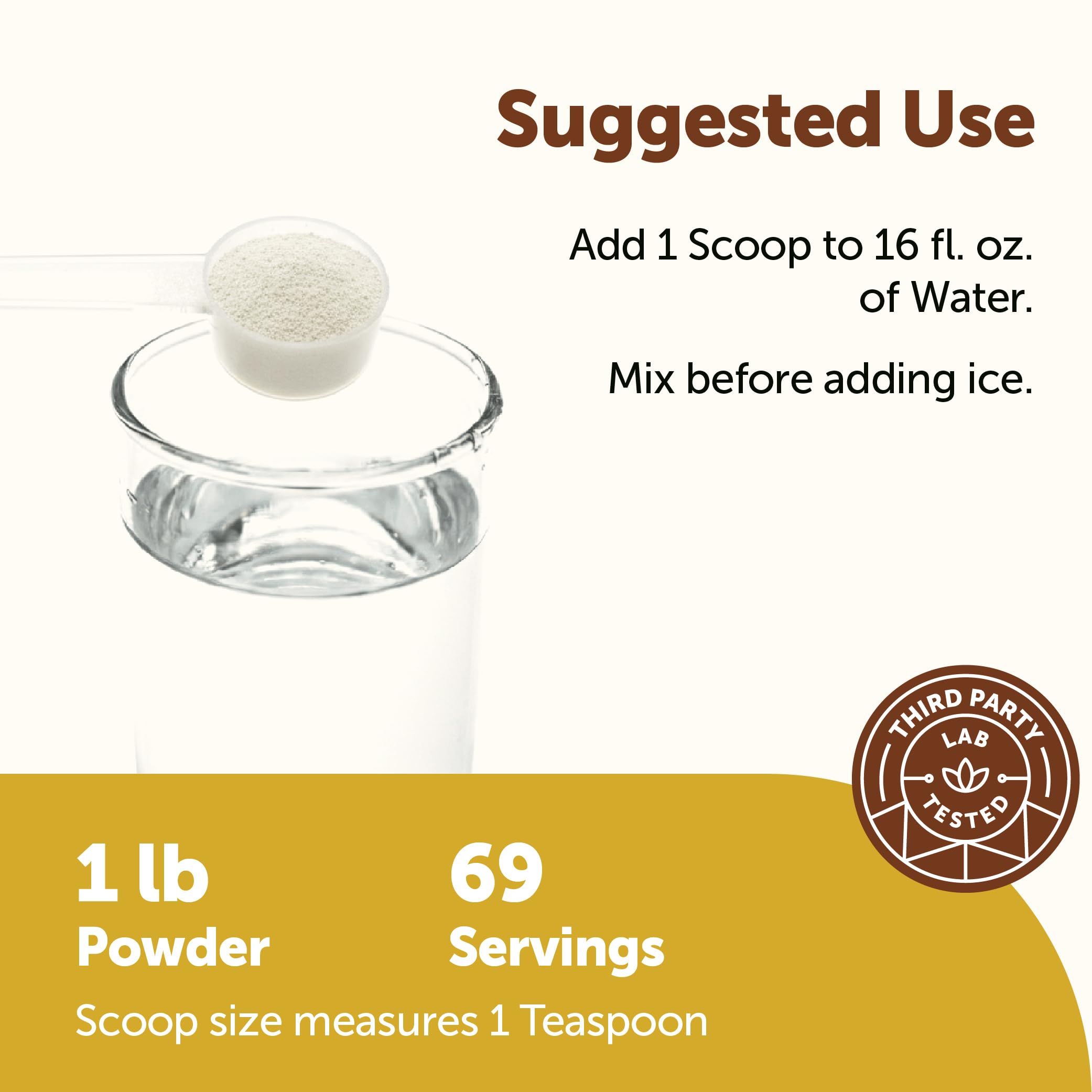 Micro Ingredients Hydration Electrolyte Powder, 1 lb (69 Servings) | Lemon Raspberry Flavor | High Potassium (1,000mg) + Coconut Water & Real Lemon Juice | No Sugar, Keto Friendly | Non-GMO Micro Ingredients buy supplements canada