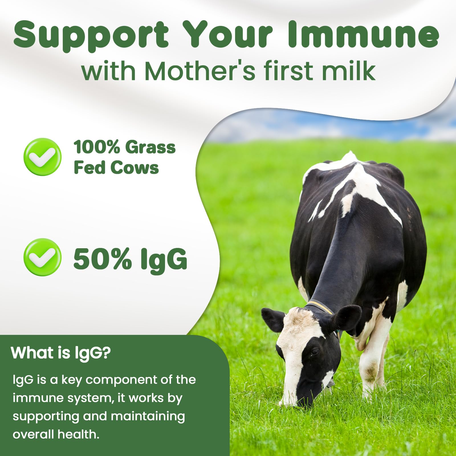 MICYDELAS Bovine Colostrum Supplement Powder 50% IgG Premium Bovine Colostrum for Gut Health Support, Immune Support, Muscle Recovery & Overall Wellness, Grass Fed, Non-GMO, Unflavored, 60 Servings MICYDELAS buy supplements canada