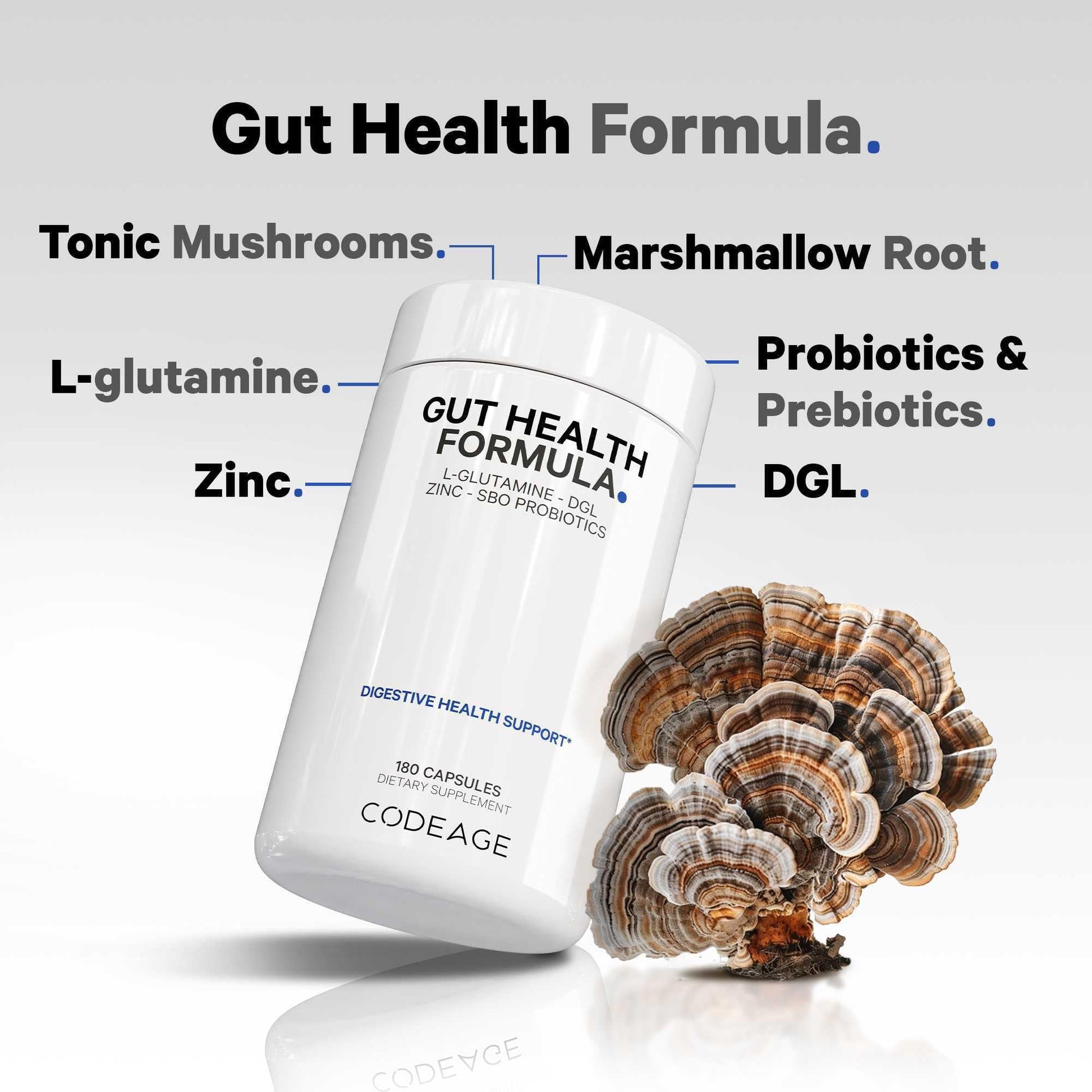 Codeage Gut Health Supplements Vegan Formula - L Glutamine, Zinc, Turkey Tail Mushroom Powder, Tonic Mushroom, Maitake, Micro Algae, Mineral, Licorice Root DGL - Probiotics, Prebiotics - 180 Capsules Codeage buy supplements canada