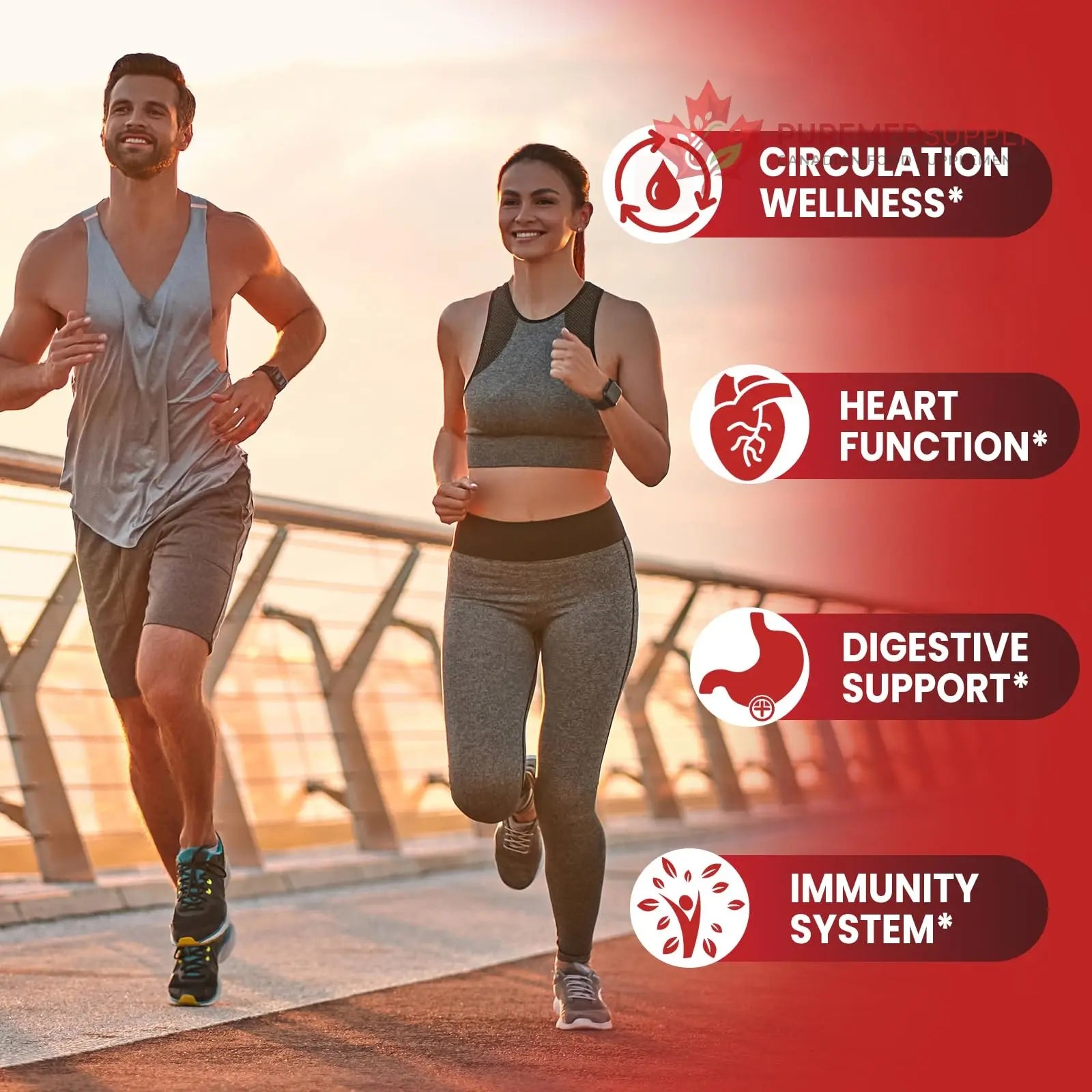 Cayenne Pepper Drops Liposomal Supplement Liquid + Hawthorn Berry, Vitamin D3 K2 Beet Root Powder, Ceylon Cinnamon, CoQ10, Turmeric Curcumin, Cayenne Pepper Extract - 2oz HevChay buy supplements canada