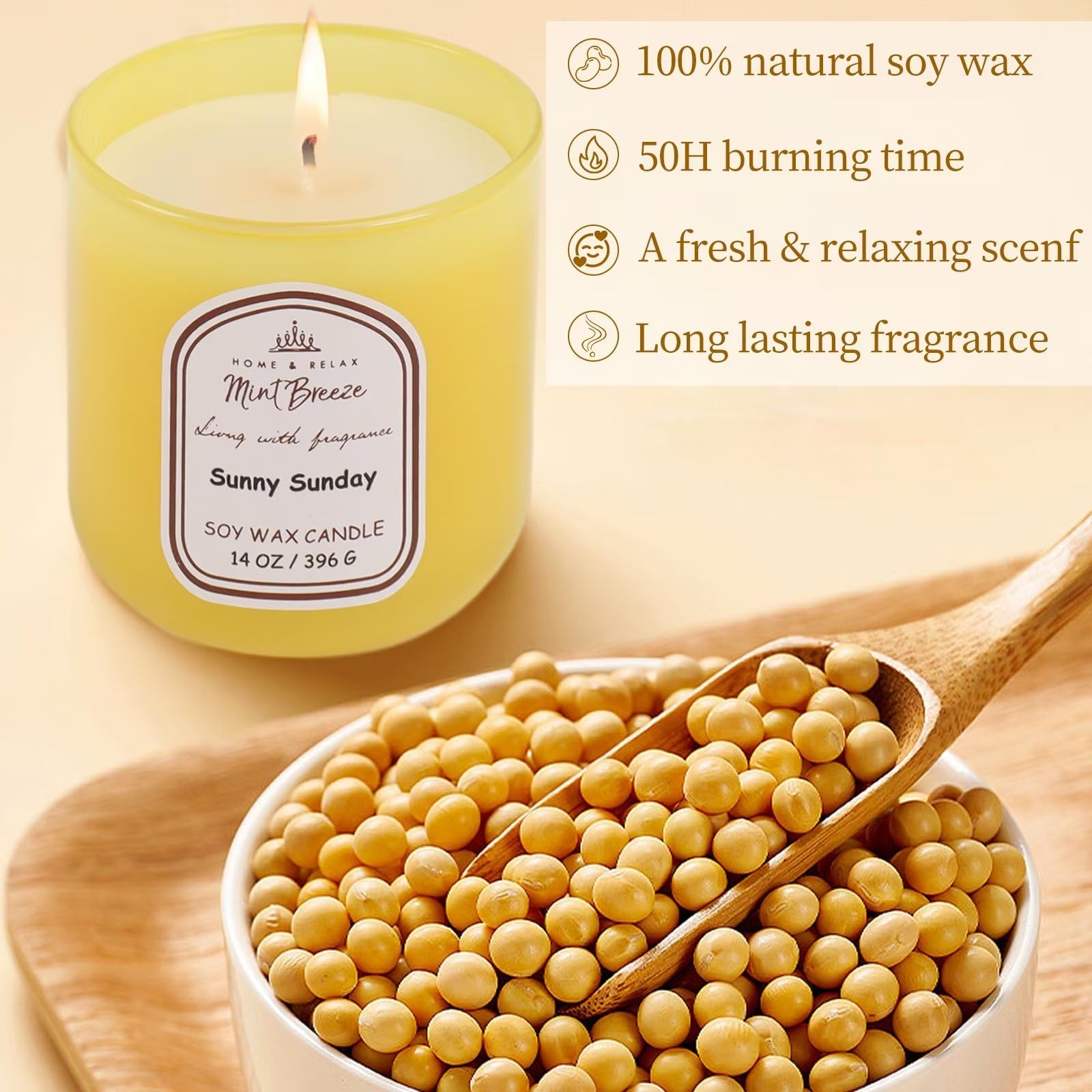 HOME & RELAX 14oz Scented Soy Wax Candle,Big Candle, More Than 80 Hours Long Lasting Burning time HOME & RELAX buy supplements canada