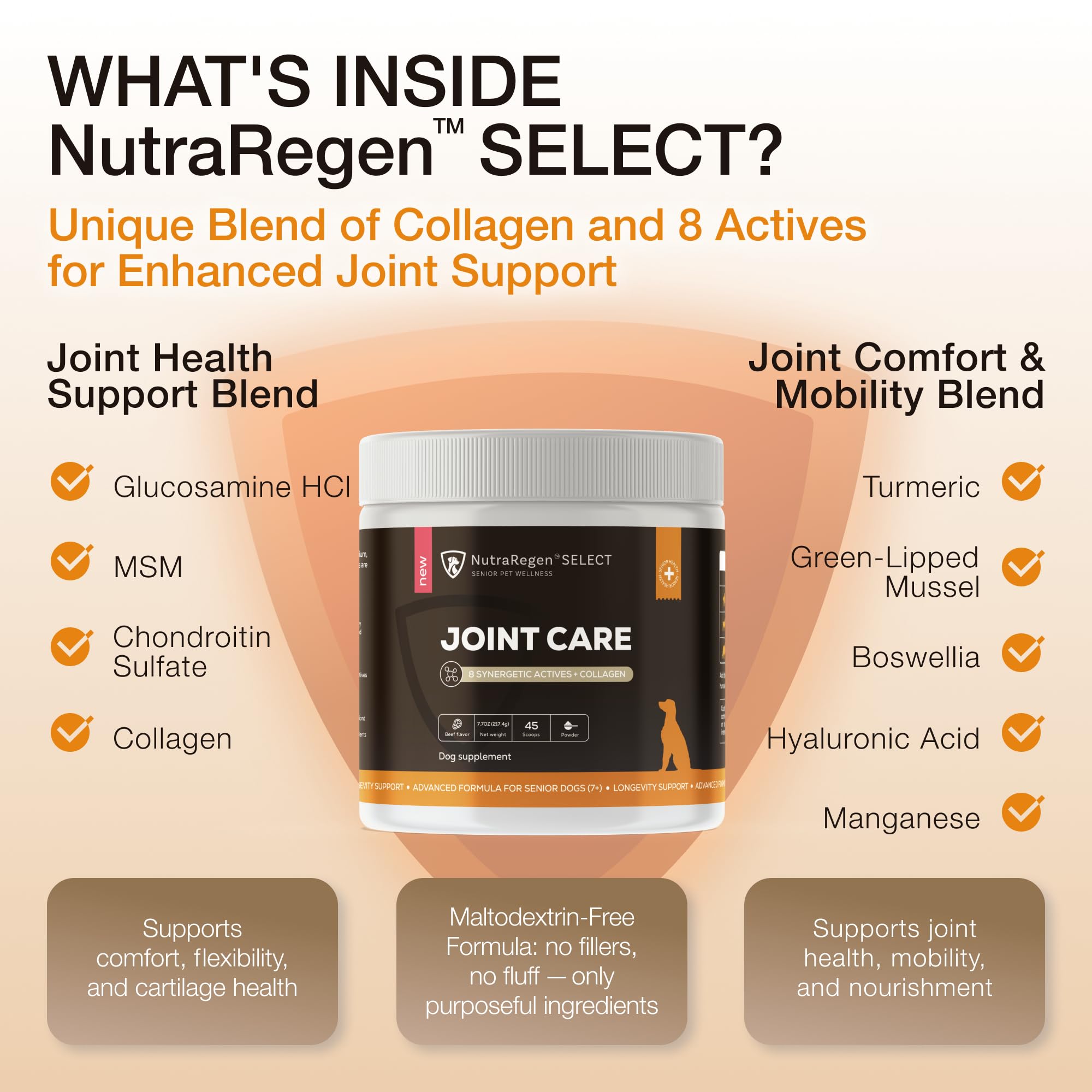 NutraRegen Select Senior Dog Joint Supplement 45 Scoops | Natural Glucosamine Chondroitin for Dogs with Collagen | Hip and Joint Powder | 7.7 Oz NutraRegen buy supplements canada