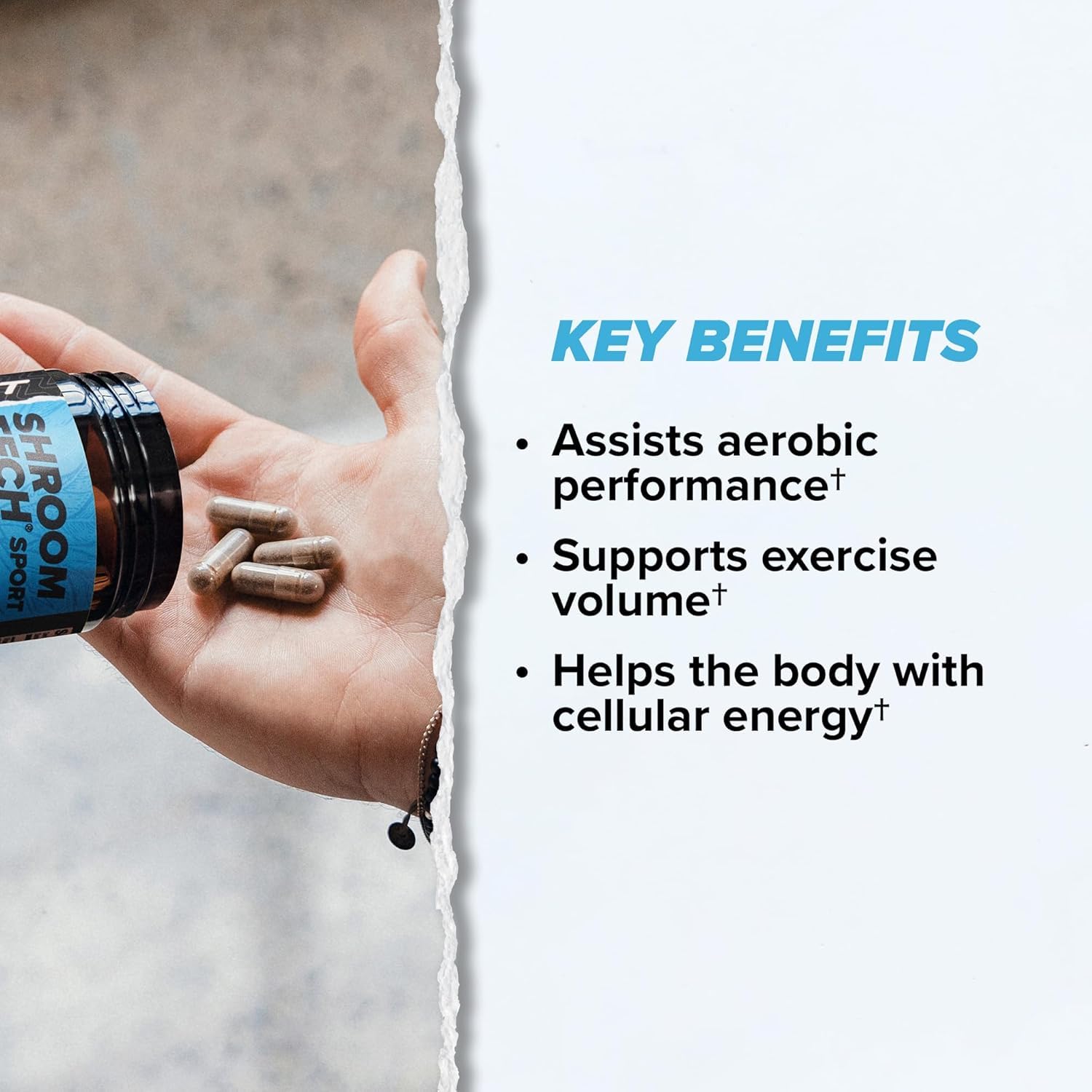 ONNIT Cognitive & Endurance Support Bundle: Alpha Brain Nootropic Capsules (90 Count) + Shroom Tech Sport Exercise Support Capsules (28 Count), IGEN Non-GMO Tested Focus, Energy & Endurance, 2 Pack ONNIT buy supplements canada