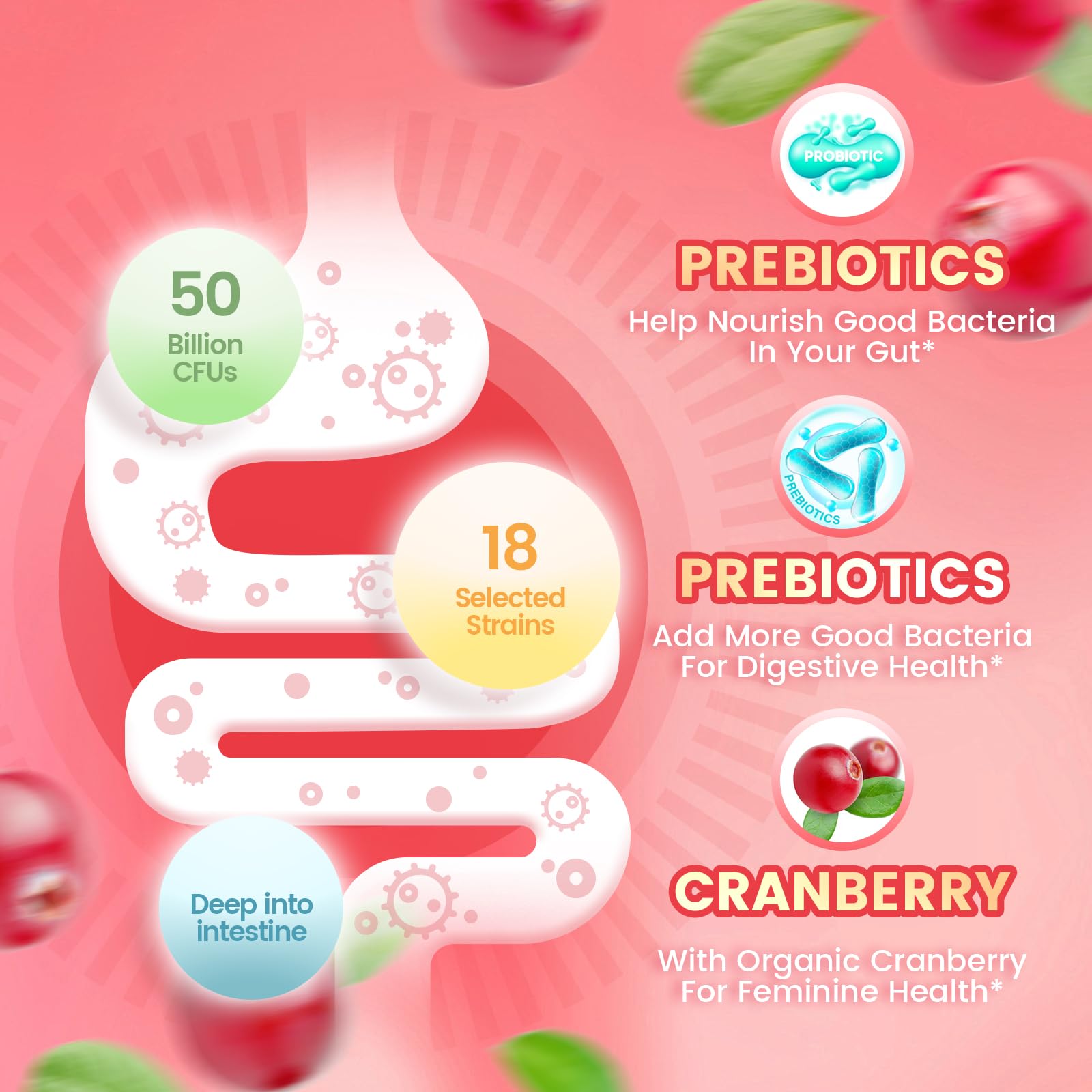 VivoNu Viginal Probiotics for Women, Women Probiotic Gummies, Feminine Balance Gummies, Prebiotic Gummy, Cranberry Probiotics for Woman Vaginigal Health, Yeast Ph Balance| 60 Gummies VivoNu buy supplements canada