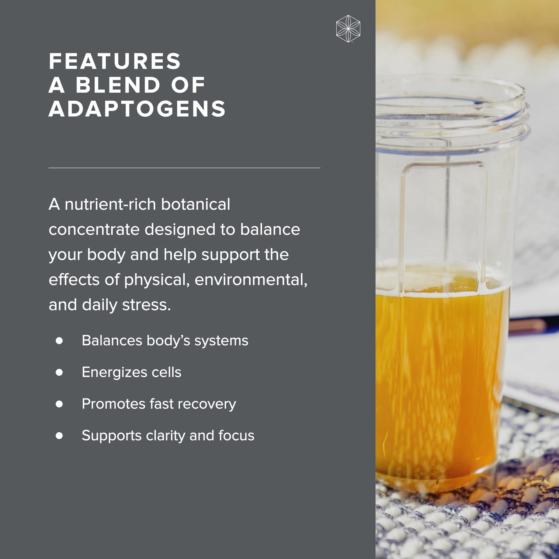 Isagenix Ionix Supreme - Powder Supplement with Vitamin B12 & Niacin - Focus Supplemen Isagenix buy supplements canada