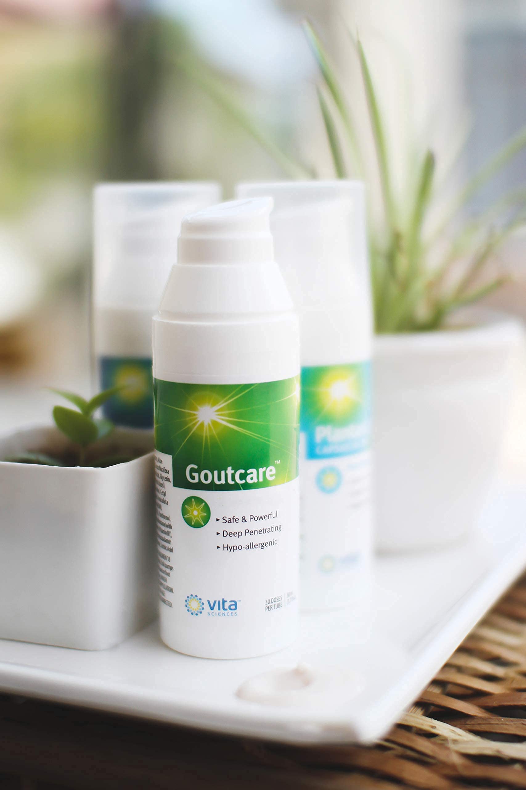 Vita Sciences GoutCare Soothing Cream for Occasional Discomfort. Intensive Soothing Cream - Fast-Acting Topical Application for Comfort Where and When You Need It Most. Safe & Effective Vita Sciences buy supplements canada
