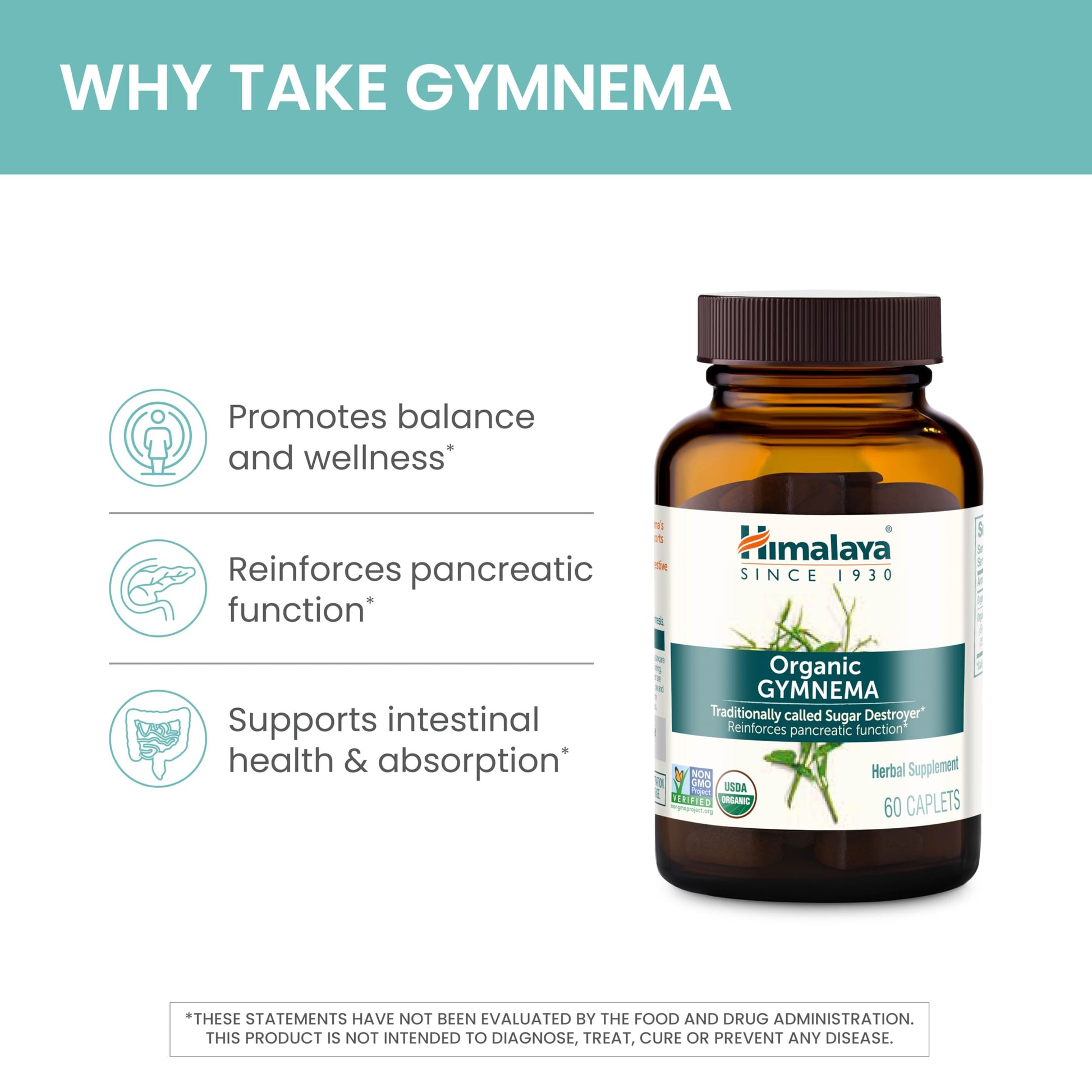 Himalaya Organic Gymnema Herbal Supplement for Weight Management, USDA Certified Himalaya buy supplements canada