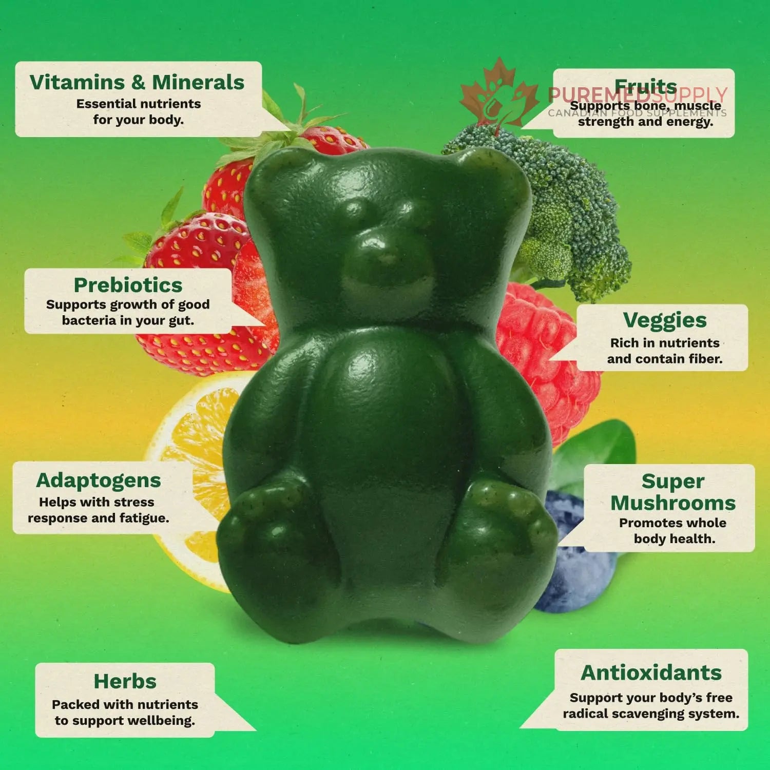 Gruns Sugar-Free Super Greens Gummies, Multivitamin Superfood Gummy Bears, Spirulina, Chlorella, Prebiotics & Fiber gummies for Digestive Health, Adaptogens Supplement, 20 Vitamins & Minerals, 10 pack Grüns buy supplements canada
