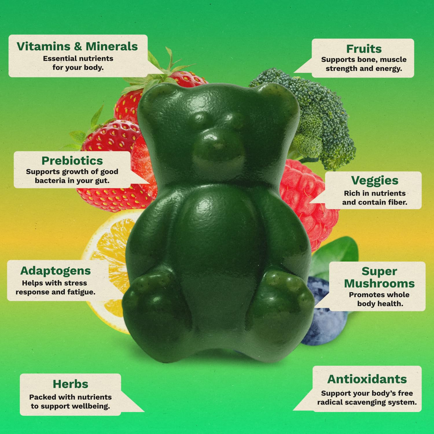 Gruns Adult Super Greens Multivitamin Gummies, Superfood Gummy Vitamins for Women and Men with Spirulina, Chlorella, Adaptogens & Prebiotic Fiber for Digestive Health (28 Count) Grüns buy supplements canada