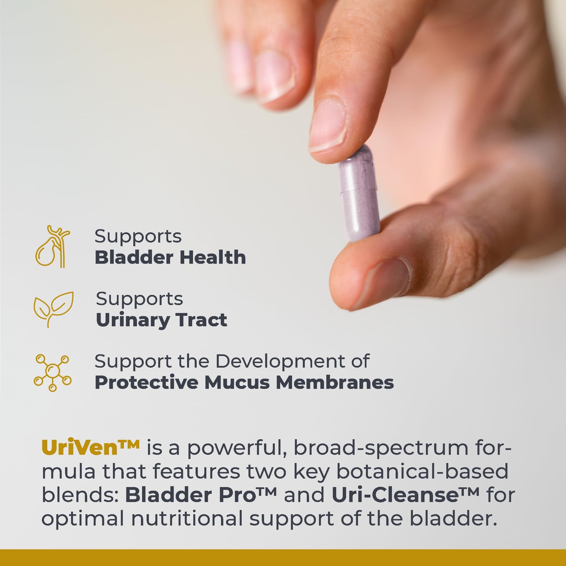 Premier Research Labs UriVen - Bladder Health Support for Women & Men, Cranberry Extract & Marshmallow Root, Urinary Relief, Bladder Relief, Bladder Control Supplement - 60 Vegetarian Capsules Premier Research Labs buy supplements canada