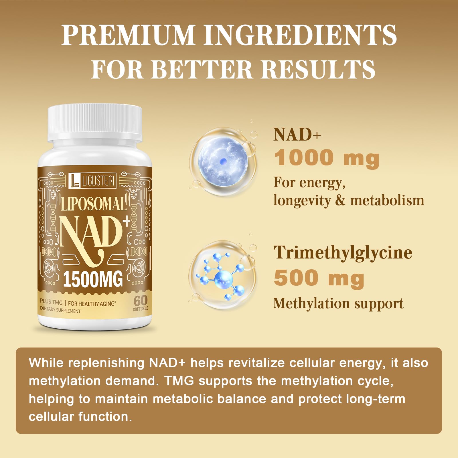 LIGUSTERI 1500 MG Liposomal NAD+, 98%+ Absorption, NAD+ Supplement for Women & Men with TMG, for Aging Defense, Cellular Energy, Heart & Brain Function, Longevity, 120 Softgels LIGUSTERI buy supplements canada