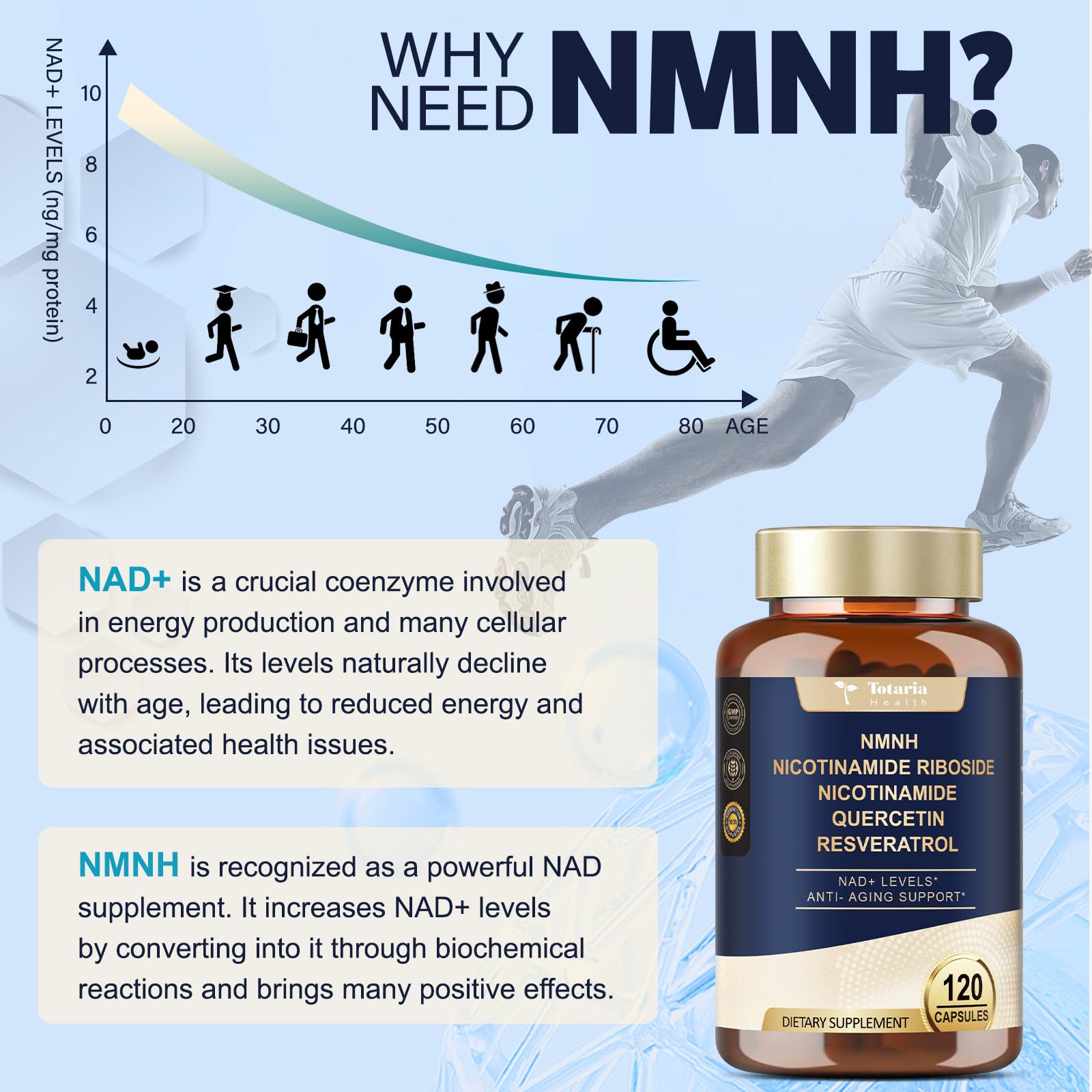 Totaria NMNH 500mg (Dihydronicotinamide Mononucleotide), Premium NMN Alternative Supplement w/Niacinamide (Vitamin B3), Quercetin, Trans-Resveratrol, for NAD+, Skin Cell, Anti-Aging & Energy, 120 Ct Totaria buy supplements canada