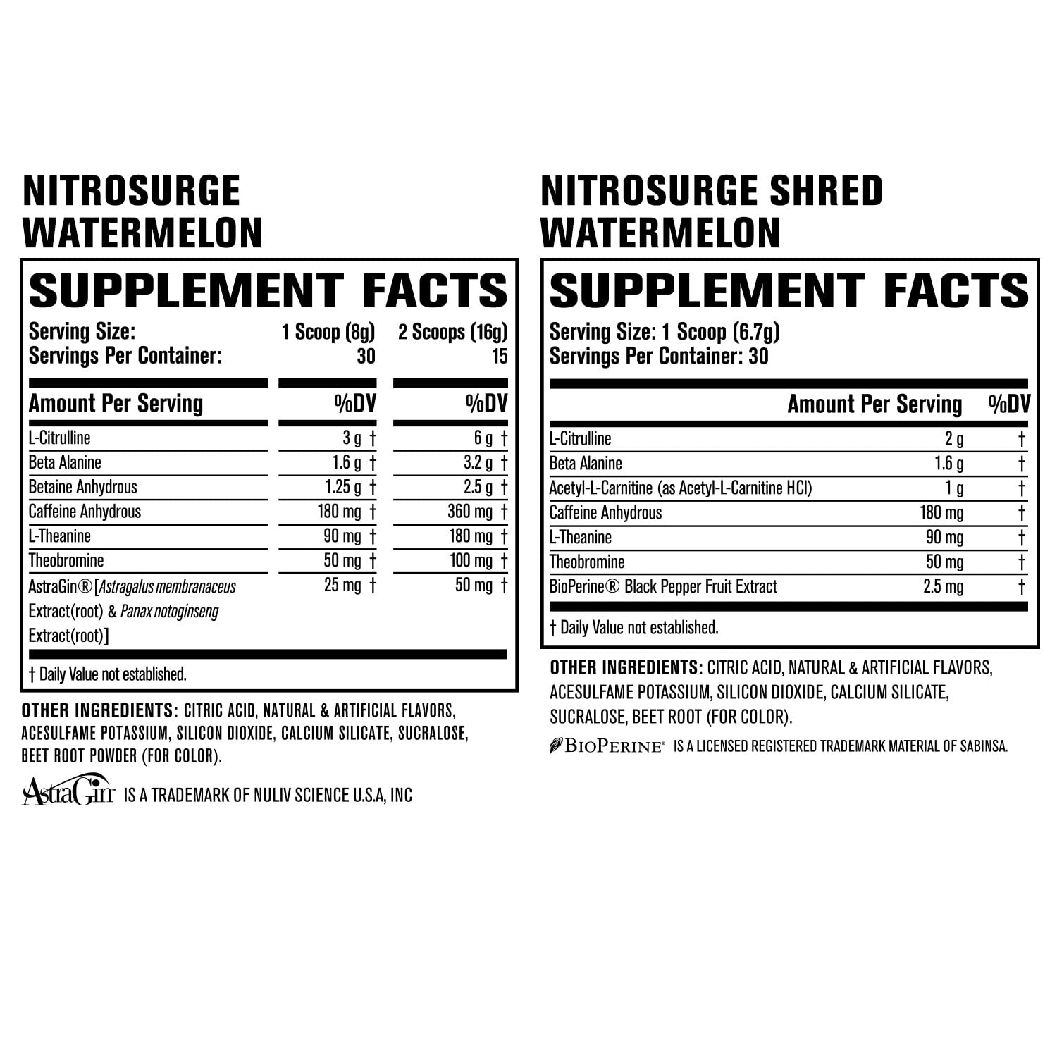 Jacked Factory Nitrosurge Shred Thermogenic Pre-Workout in Watermelon & Watermelon Jacked Factory buy supplements canada