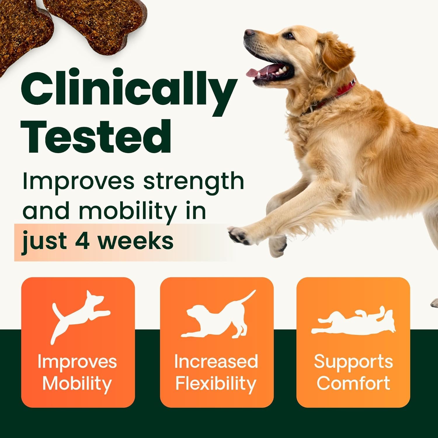 VetriScience Ultimate Strength Healthy Hip & Joint Chews, GlycoFlex Glucosamine, Chondroitin and Green-Lipped Mussel Joint Support Supplement for Dogs, Soothe Joint Discomfort, Duck, 120 Count VETRISCIENCE buy supplements canada