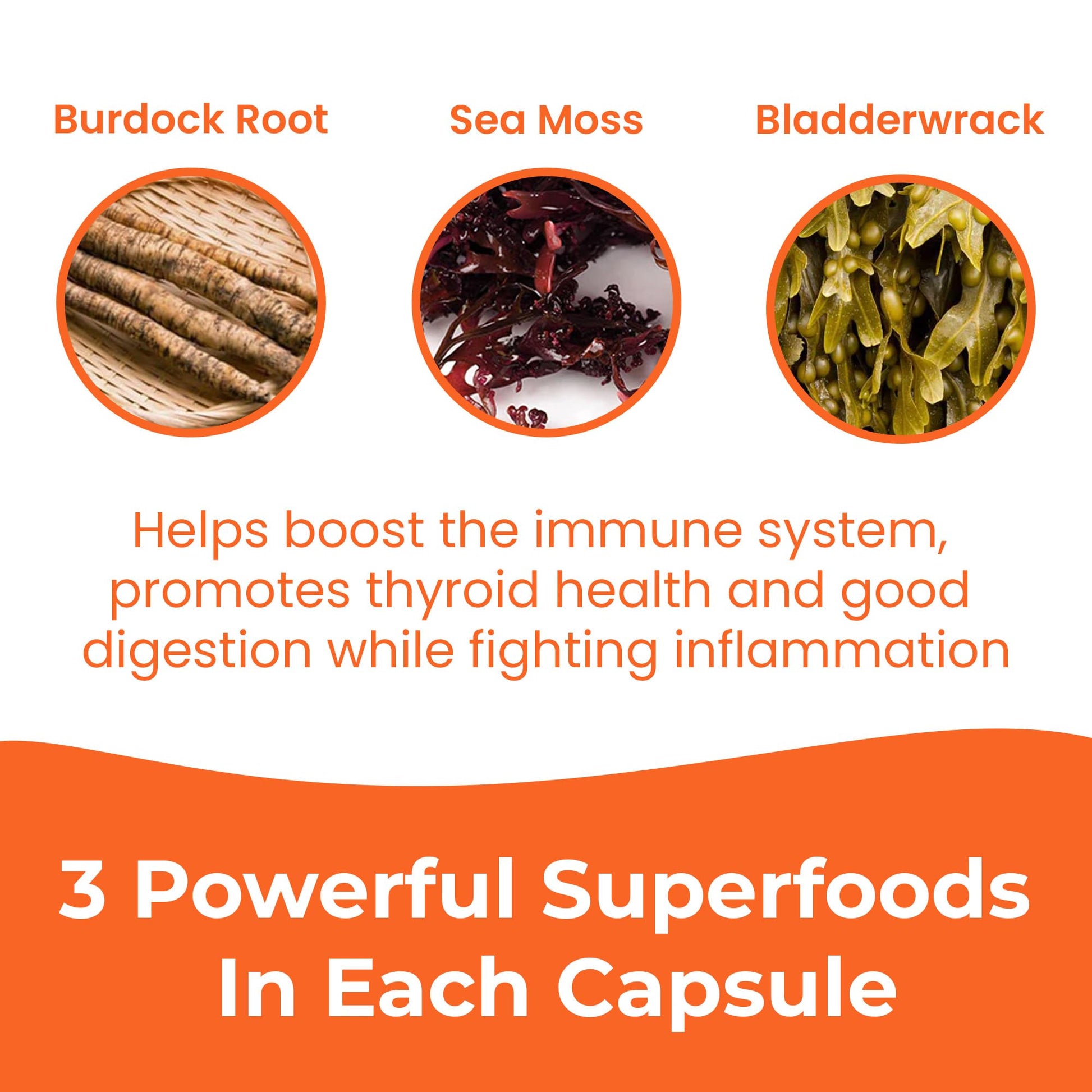 INFINITE AGE 1250mg Sea Moss Advanced Superfood Capsules, 60 Count - High-Potency, Vegan, Made in The USA - Irish Seamoss, Bladderwrack, INFINITE AGE buy supplements canada