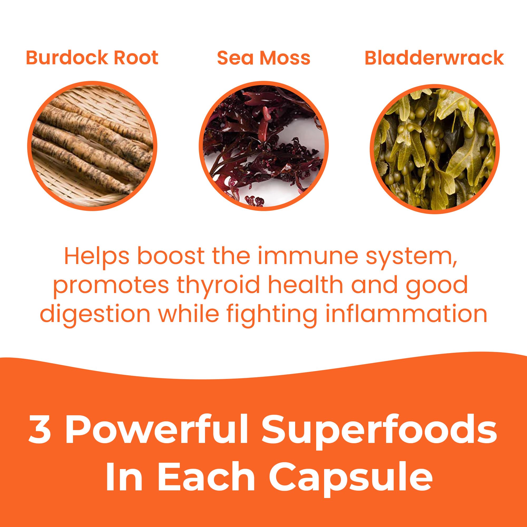 INFINITE AGE 1250mg Sea Moss Advanced Superfood Capsules, 60 Count - High-Potency, Vegan, Made in The USA - Irish Seamoss, Bladderwrack, INFINITE AGE buy supplements canada
