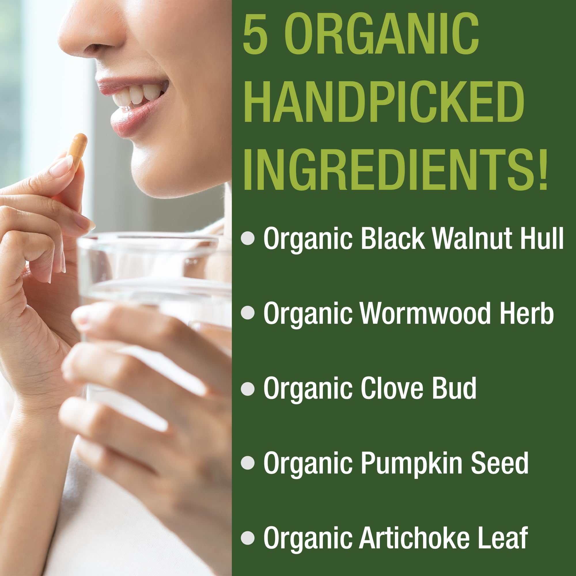 USDA Organic Wormwood Black Walnut Clove Cleanse for Humans. Elimination Detox + Intestinal Support Capsules Supplement for Adults and Kids. Pills with Artichoke and Pumpkin Seed for Added Benefits Peak Performance buy supplements canada
