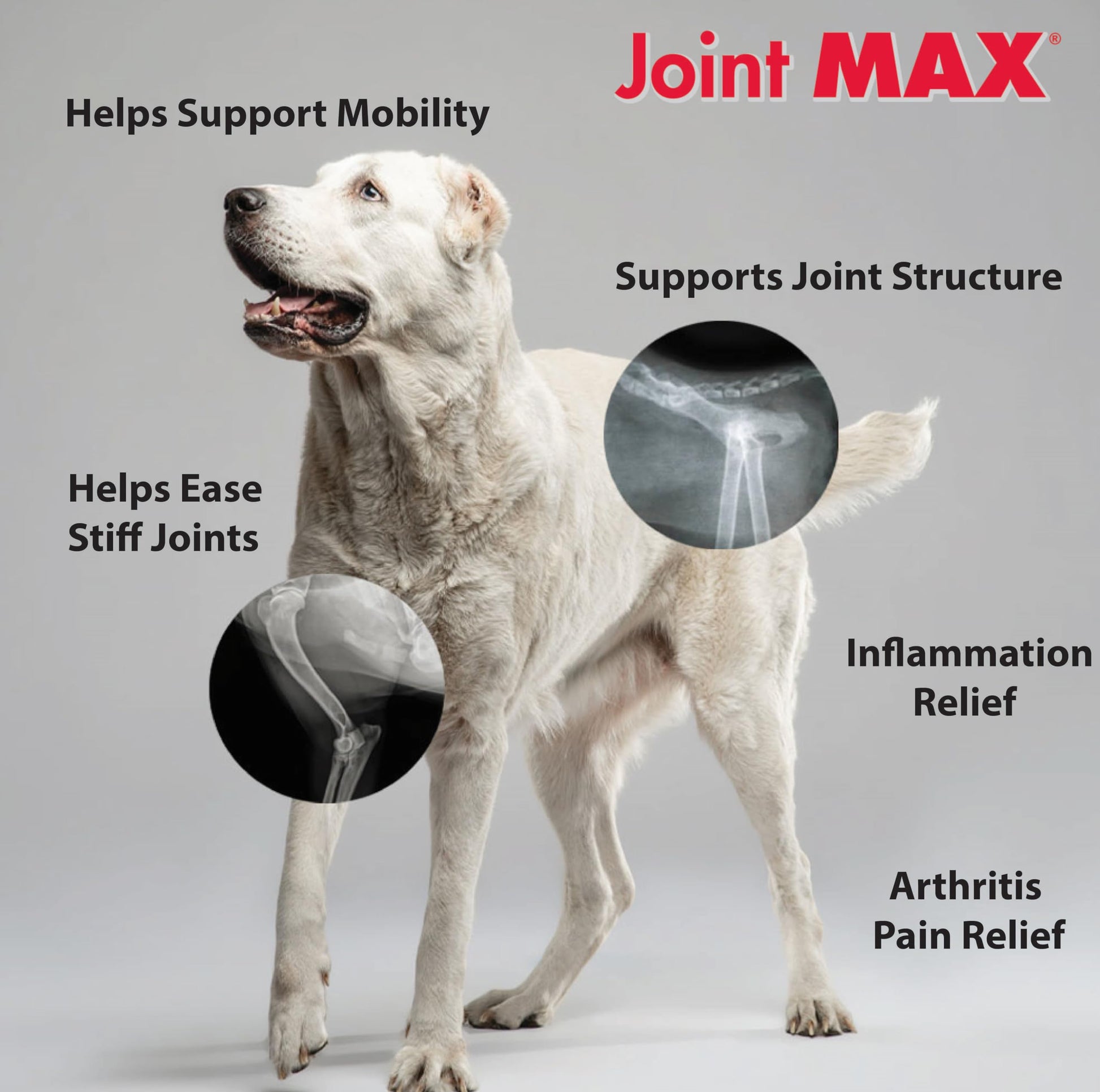 Joint MAX Triple Strength Hypo-Allergenic Soft Chews for Dogs - Hip and Joint Support Supplement with Glucosamine, Chondroitin, & MSM - Made in The USA - 120 Soft Chews Joint Max buy supplements canada