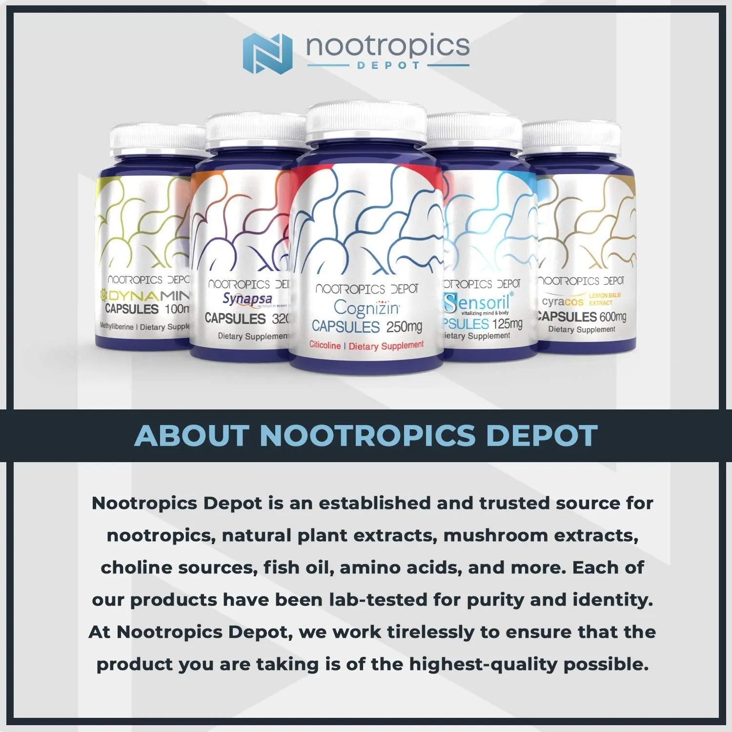 Nootropics Depot Uridine Monophosphate Capsules | Disodium Salt (60 Count) Cognitive Enhancer* | Nootropic | Choline Precursor Nootropics Depot buy supplements canada