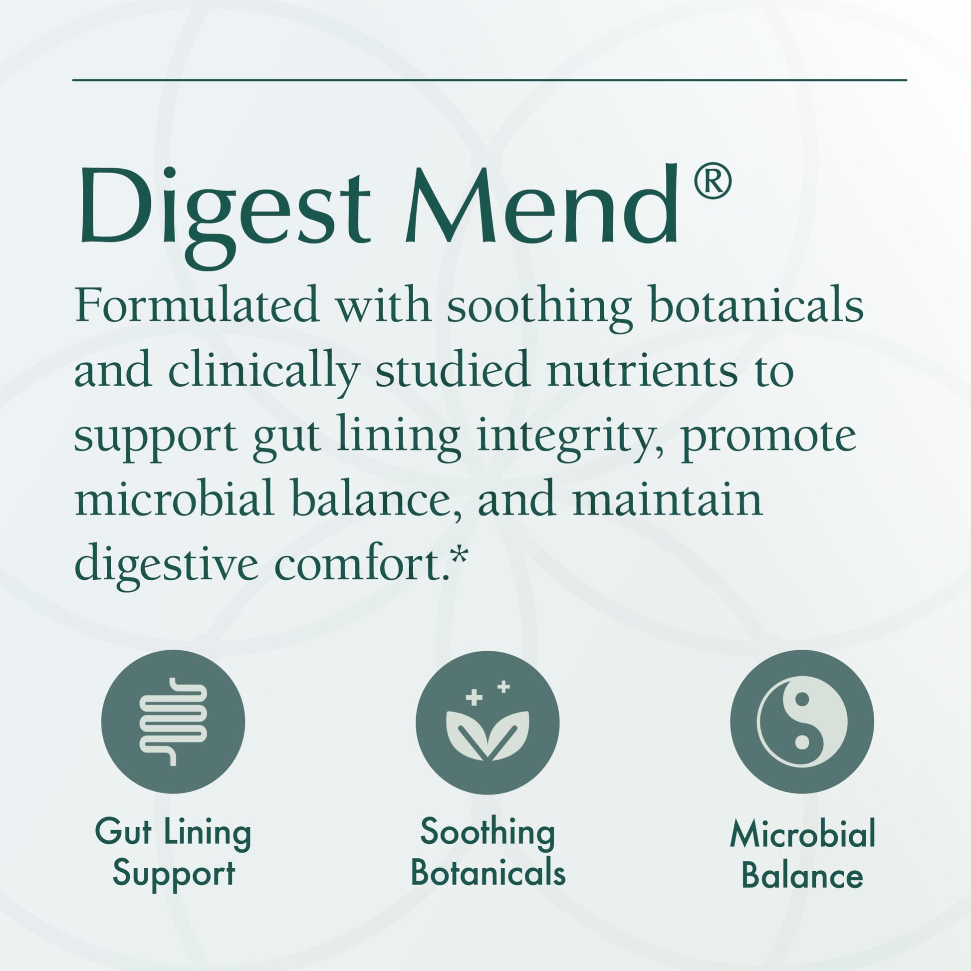 Natura Health Products Digest Mend Supplement - Encourages Healthy gastric microboime* - Featuring Deglycyrrhizinated Licorice (DGL), Aloe Vera, Marshmallow, Mastic Gum, & Chamomile (180 Capsules) Natura Health Products buy supplements canada