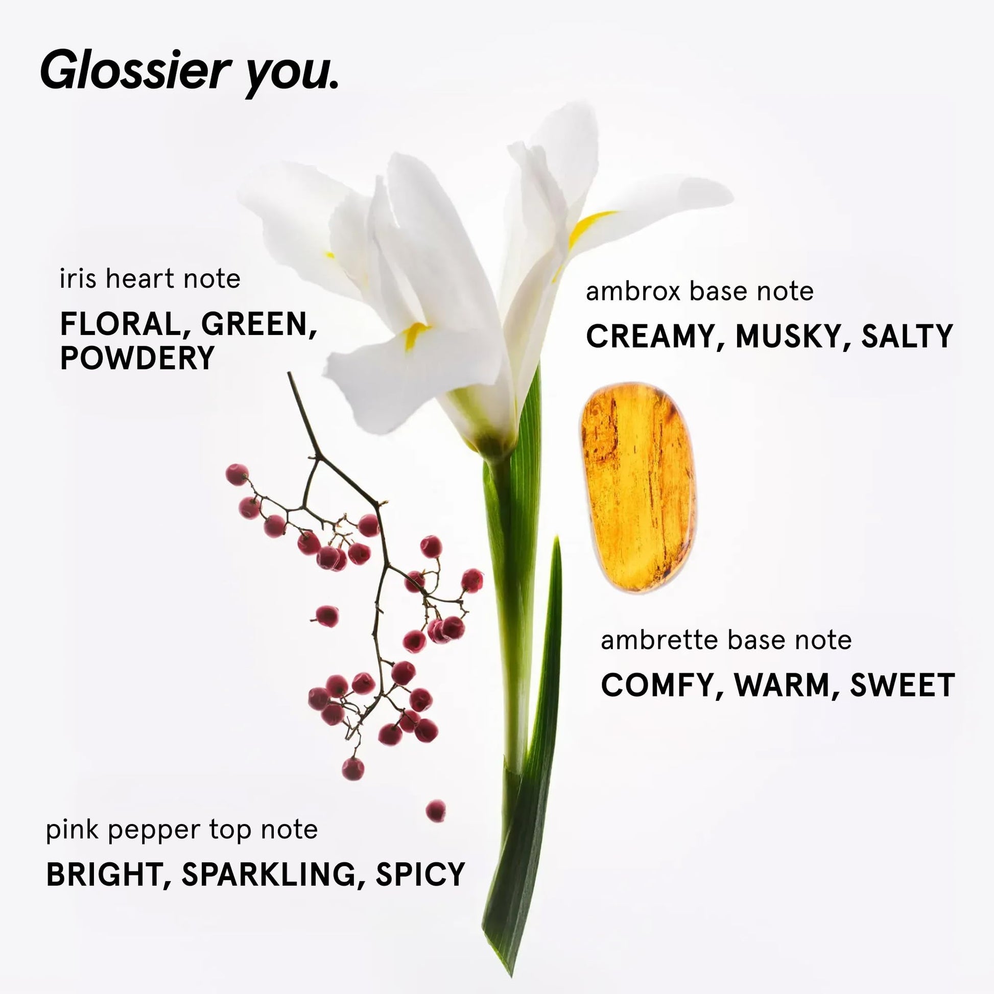 Glossier You Solid Perfume - Unisex Fragrance for Women & Men in Refillable Compact, Alcohol-Free Balm Melts Into Skin - Buildable Warm & Spicy Scent Pink Pepper, Iris, Ambrox - Travel-Friendly, 3g Glossier buy supplements canada