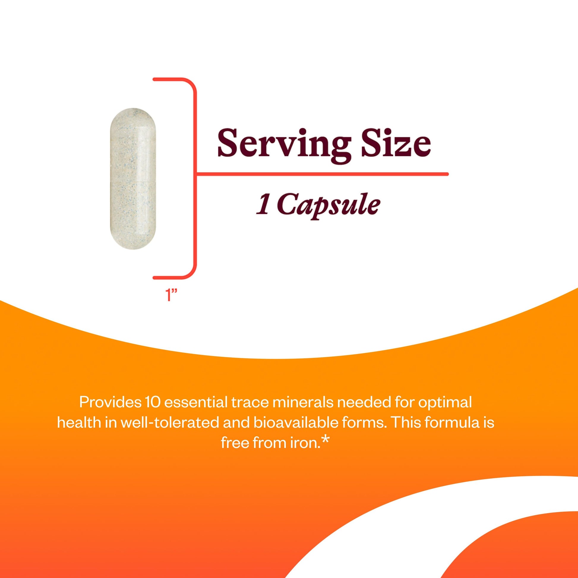 Seeking Health Trace Minerals Complex - Includes 10 Essential Trace Minerals - Mineral Supplement Supports Immune & Nervous System Seeking Health buy supplements canada