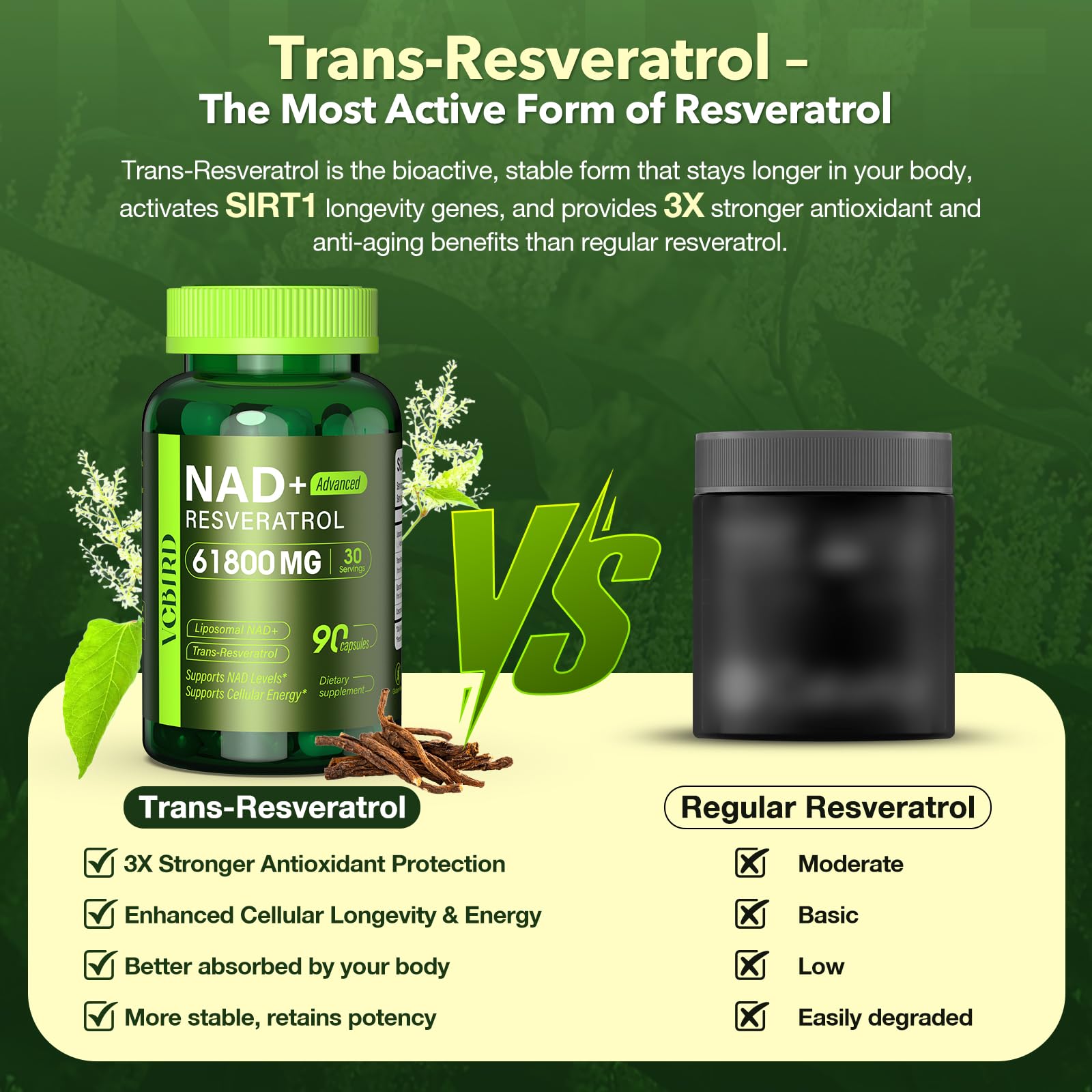 Nad Resveratrol Supplement 61800mg Per Bottle – Liposomal Nad+ Resveratrol for Women & Men – High Purity 1200mg Nad+ Supplement for Energy & Healthy Aging, Resveratrol, Quercetin, CoQ10 – 90 Counts VCBIRD buy supplements canada