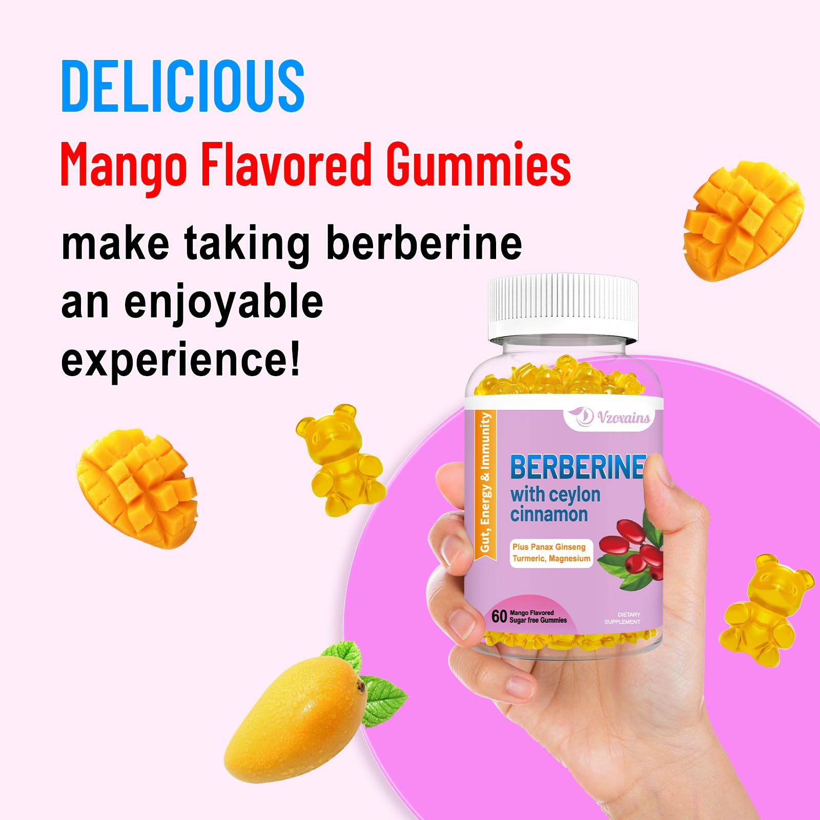 2 Pack Berberine with Ceylon Cinnamon Gummies, 2000mg High Potency Berberine HCI VZOXAINS buy supplements canada