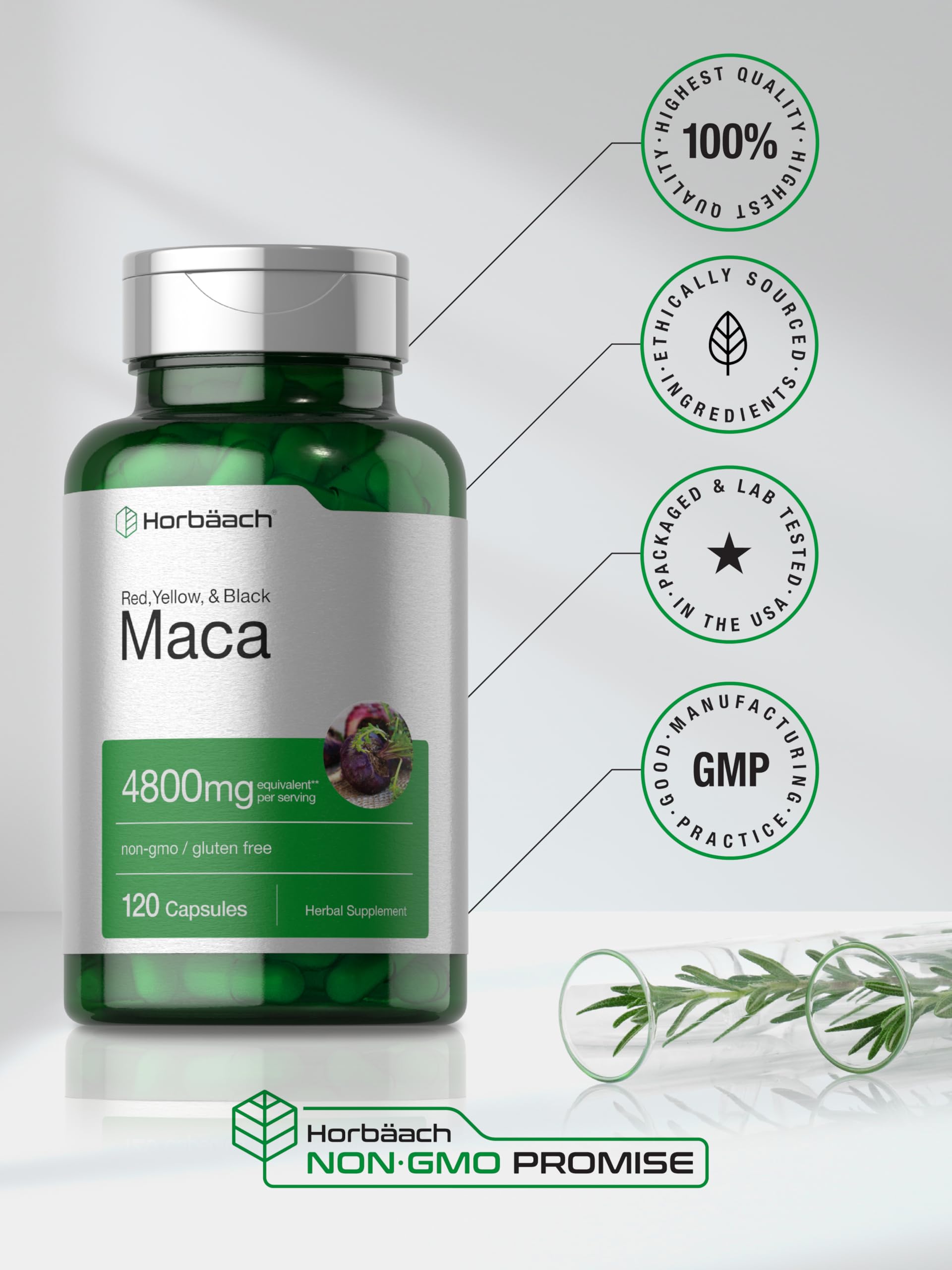 Horbäach Maca Root Capsules for Men and Women | 120 Pills | High Potency Extract | Non-GMO and Gluten Free Formula Horbäach buy supplements canada