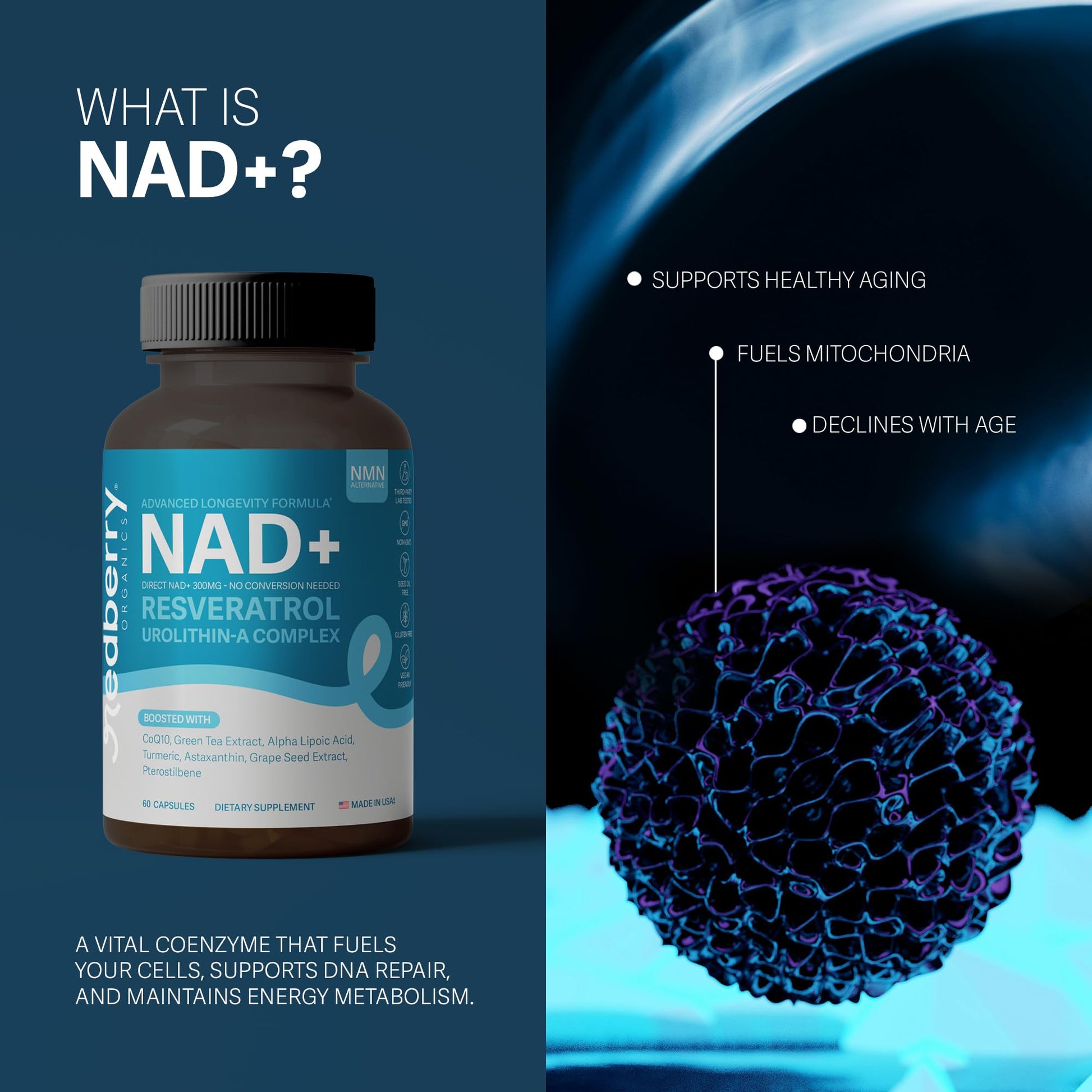 NAD Supplement with Direct NAD+ 300mg (NAD Plus) | Advanced Longevity Complex with Urolithin A & Resveratrol | NMN Alternative | 60 Capsules | Non-GMO, Gluten Free | Made in USA Redberry Organics buy supplements canada