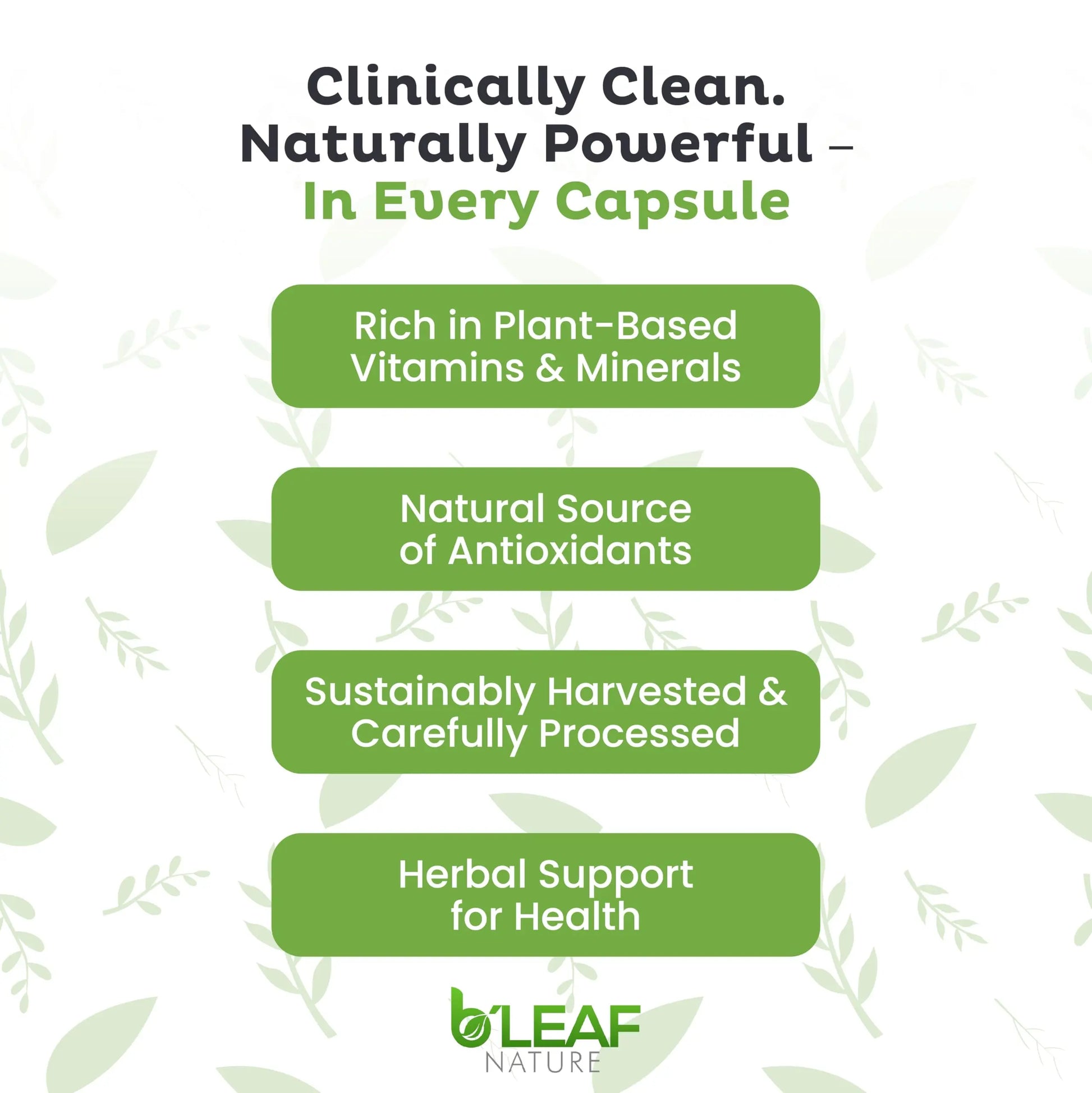 B'LEAF NATURE Moringa and Quercetin Bundle - Non-GMO, Vegan, High Absorption Capsules - 1000mg Quercetin Phytosome Blend + 1000mg Moringa - Natural Energy, Wellness and Immune Support Supplements B'LEAF NATURE buy supplements canada