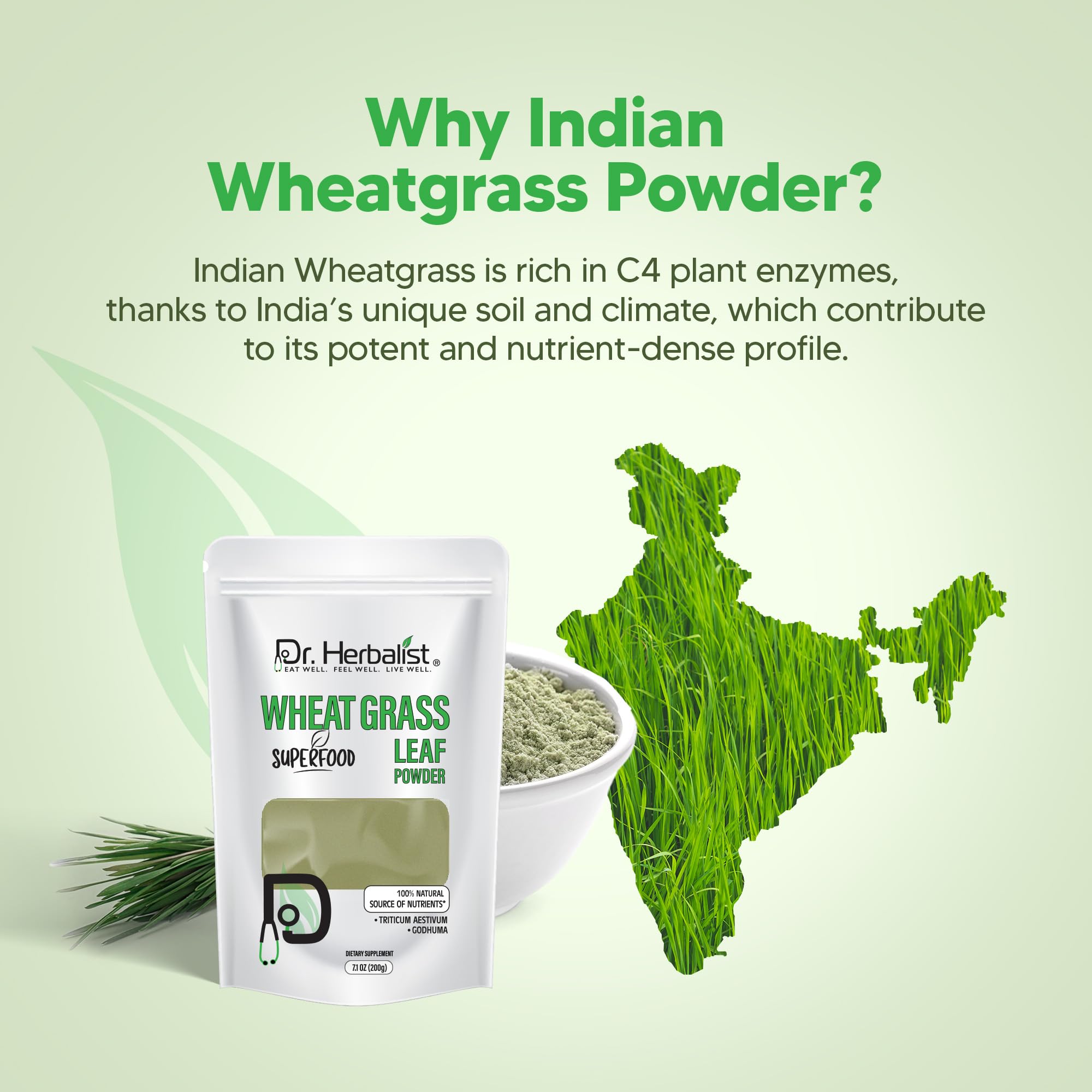 Dr. HERBALIST Wheatgrass Powder 200g - Pure Triticum Aestivum with Chlorophyll Iron & Vitamins A C E | Supports Daily Greens Detox & Nutrient Density* | Halal Dr. HERBALIST buy supplements canada
