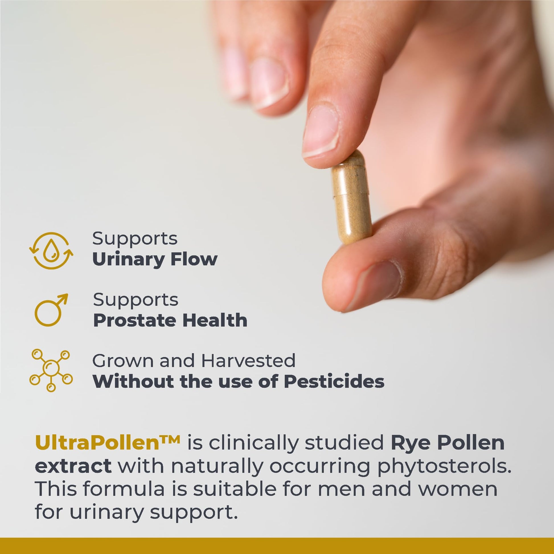 Premier Research Labs UltraPollen - Bee Pollen Supplement, Rye Pollen Extract, Prostate Health, Bee Pollen Extract from Rye Flower with Amino Acids, Supplement for Men & Women- 45 Vegetarian Capsules Premier Research Labs buy supplements canada