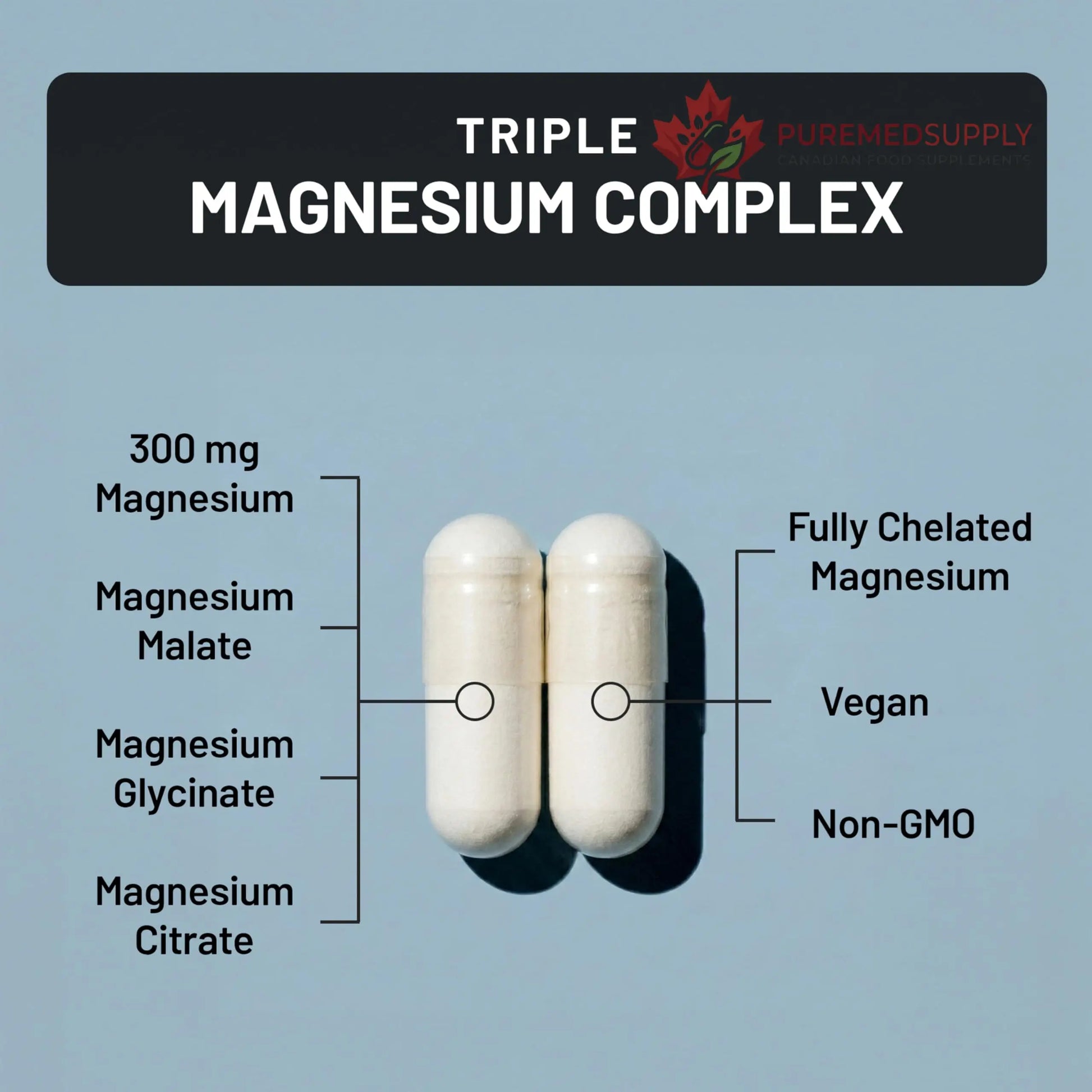 NatureWise Triple Magnesium Complex - High Absorption Magnesium Glycinate + Malate + Citrate for Muscle Nerve & Sleep Support - Vegan 90 Capsules NatureWise buy supplements canada