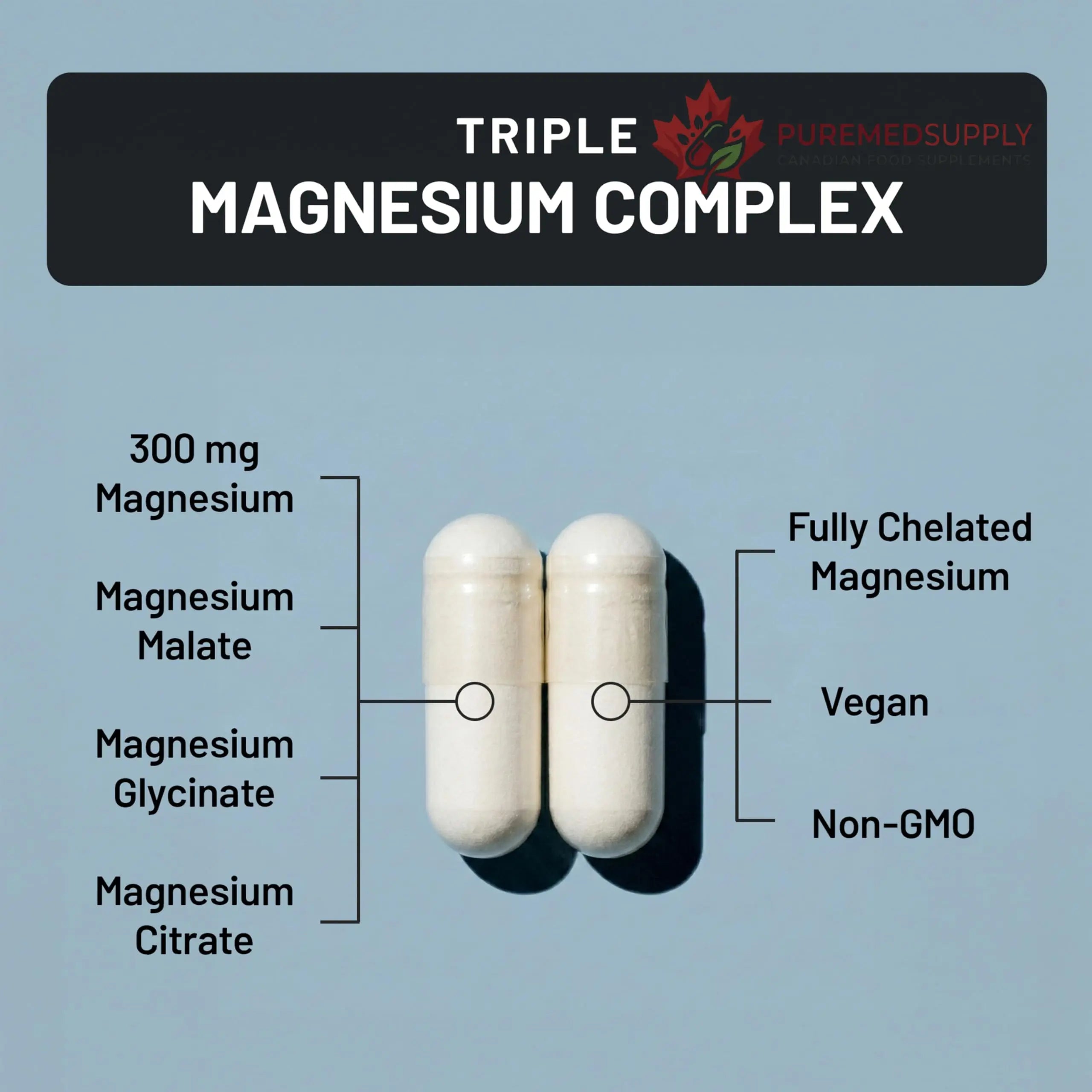 NatureWise Triple Magnesium Complex - High Absorption Magnesium Glycinate + Malate + Citrate for Muscle Nerve & Sleep Support - Vegan 90 Capsules NatureWise buy supplements canada