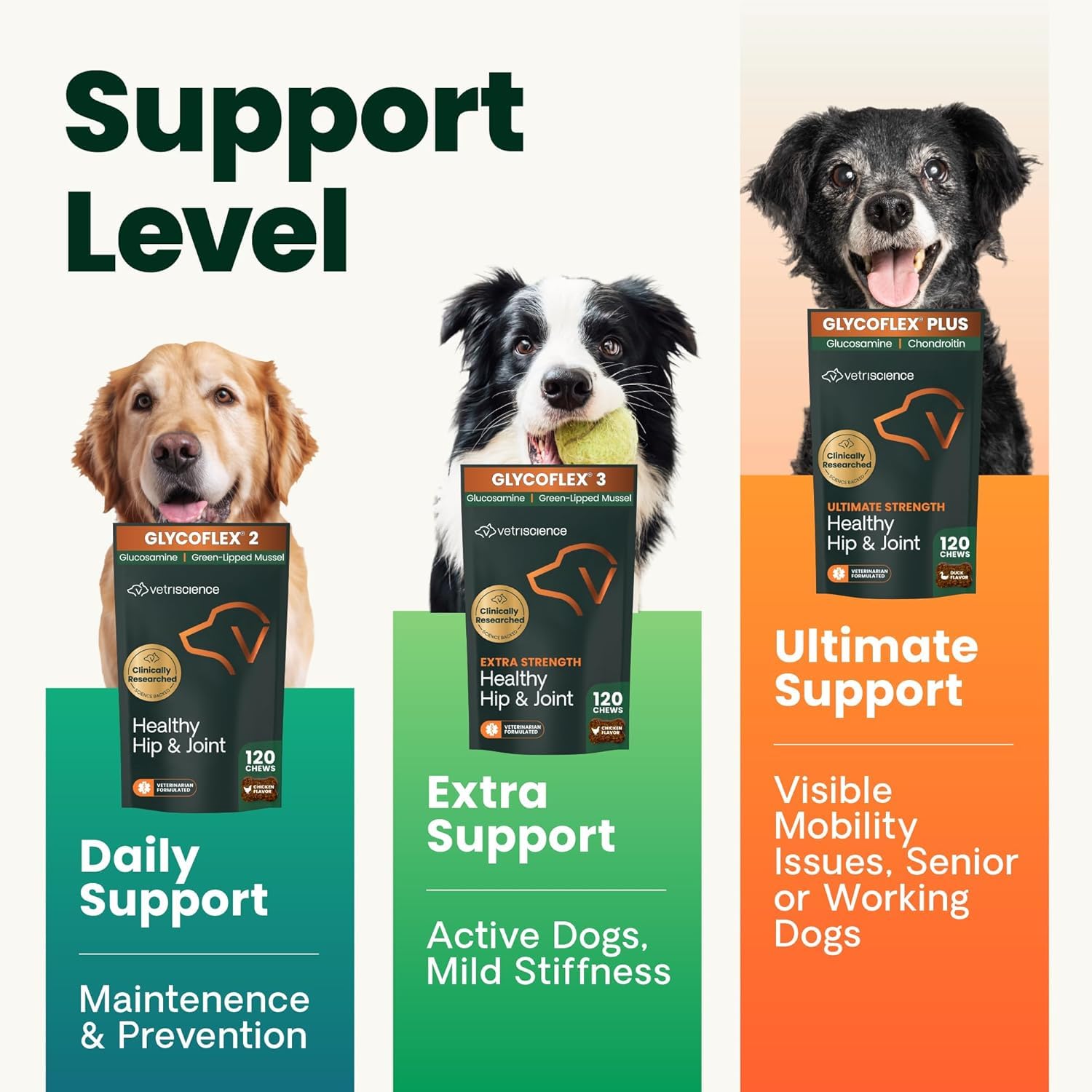 VetriScience Ultimate Strength Healthy Hip & Joint Chews, GlycoFlex Glucosamine, Chondroitin and Green-Lipped Mussel Joint Support Supplement for Dogs, Soothe Joint Discomfort, Duck, 120 Count VETRISCIENCE buy supplements canada