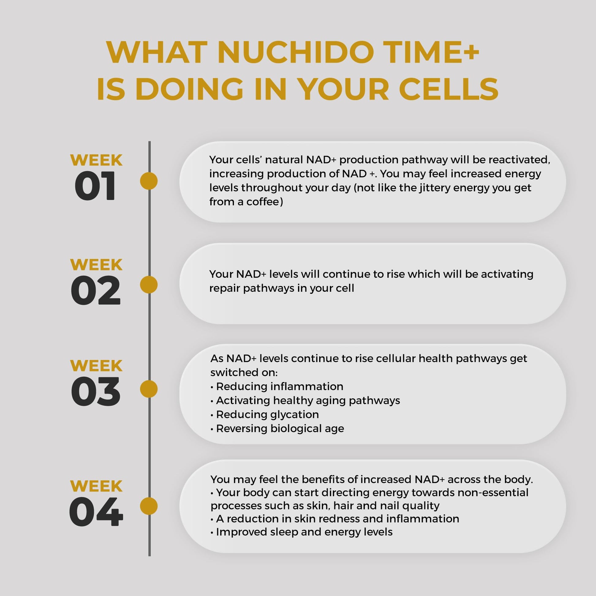 Nuchido Time+ NAD Supplement for Men & Women - Advanced Formula for Healthy Aging, Energy, Focus, Cellular Health & Longevity - Nicotinamide, Alpha Lipoic Acid, Quercetin - 90 Capsules Nuchido Time+ buy supplements canada