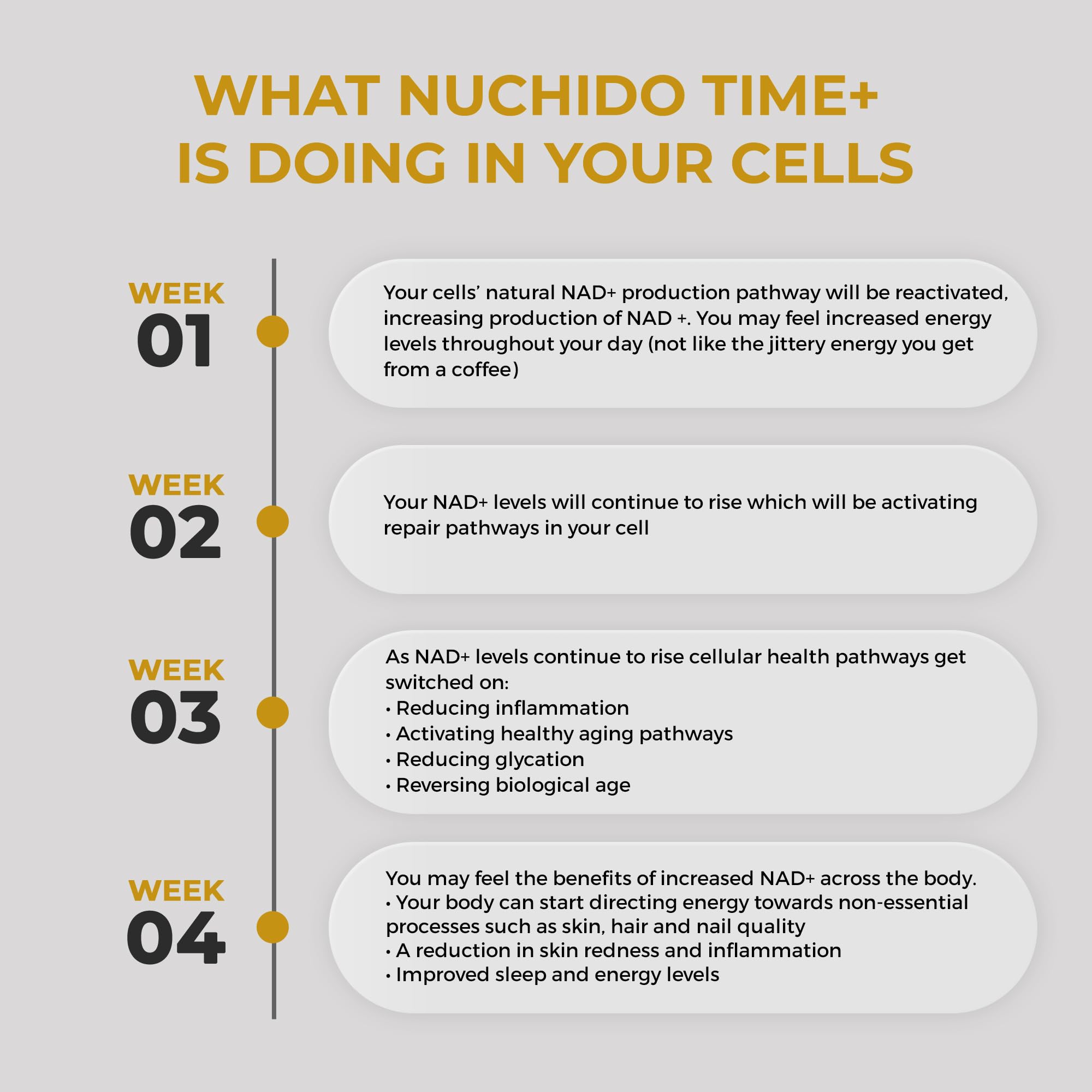Nuchido Time+ NAD Supplement for Men & Women - Advanced Formula for Healthy Aging, Energy, Focus, Cellular Health & Longevity - Nicotinamide, Alpha Lipoic Acid, Quercetin - 90 Capsules Nuchido Time+ buy supplements canada