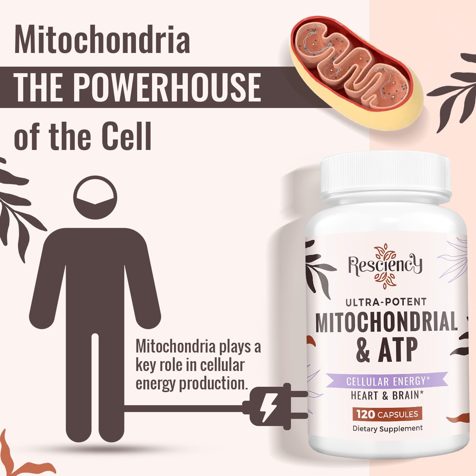 Resciency 2326 MG Mitochondrial Supplements with ATP, Vitamins, CoQ10 & PQQ, More Effective Than Creatine HMB & Nitric Oxide, Energy, Endurance, Strength, Recovery & Muscle, Organic, 120 Capsules Resciency buy supplements canada