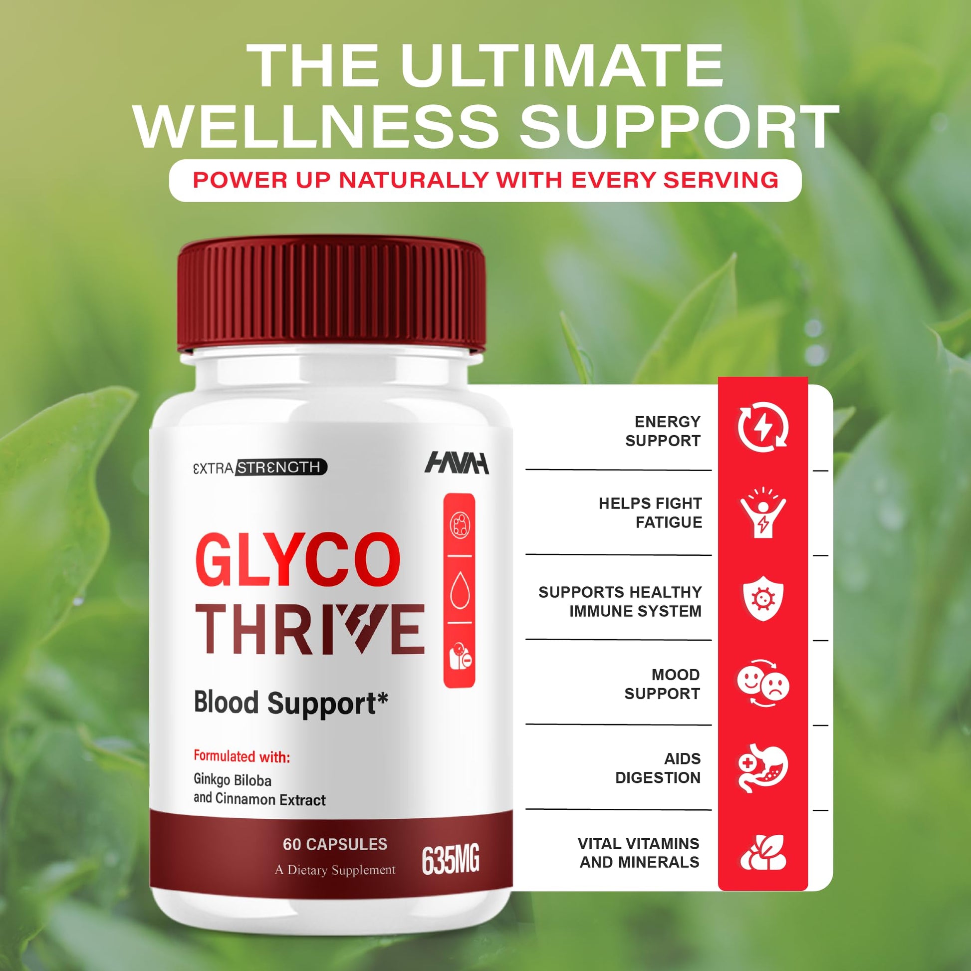 (2 Pack) Glyco Thrive Blood Support GlycoThrive Maximum Strength Capsules, Glyco Thrive Advanced Daily Multivitamin Health and Wellness Supplement, GlycoThrive Health Support Pills (120 Capsules) Havah buy supplements canada