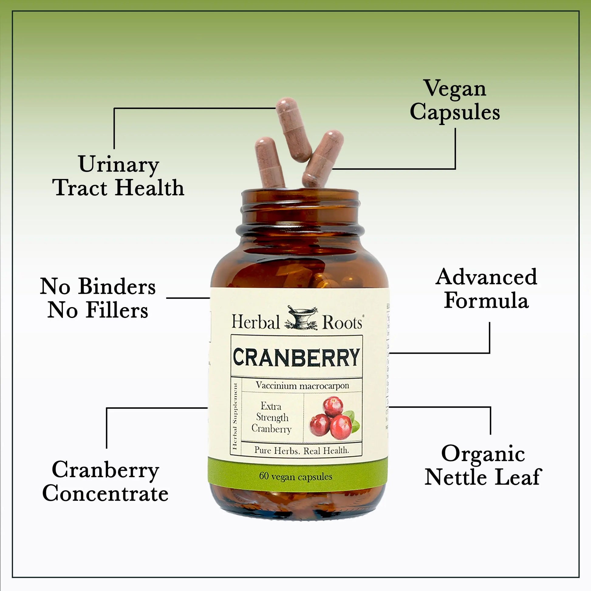 Herbal Roots Extra Strength Cranberry Pills for Women & Men with Organic Nettle | Urinary Tract Health | 60 Vegan Capsules Herbal Roots buy supplements canada