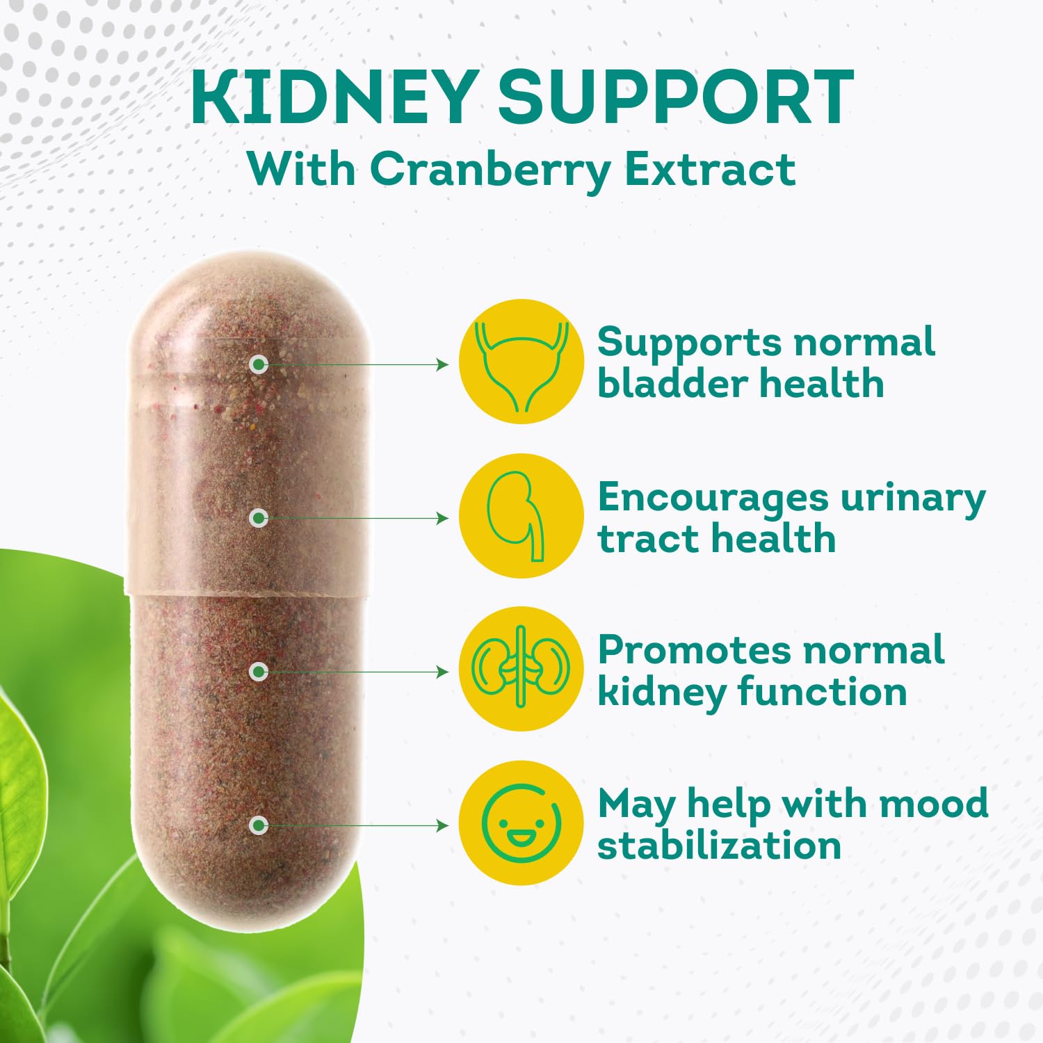 PurePremium Kidney Support Supplement for Men and Women - with Cranberry Extract PurePremium Supplements buy supplements canada