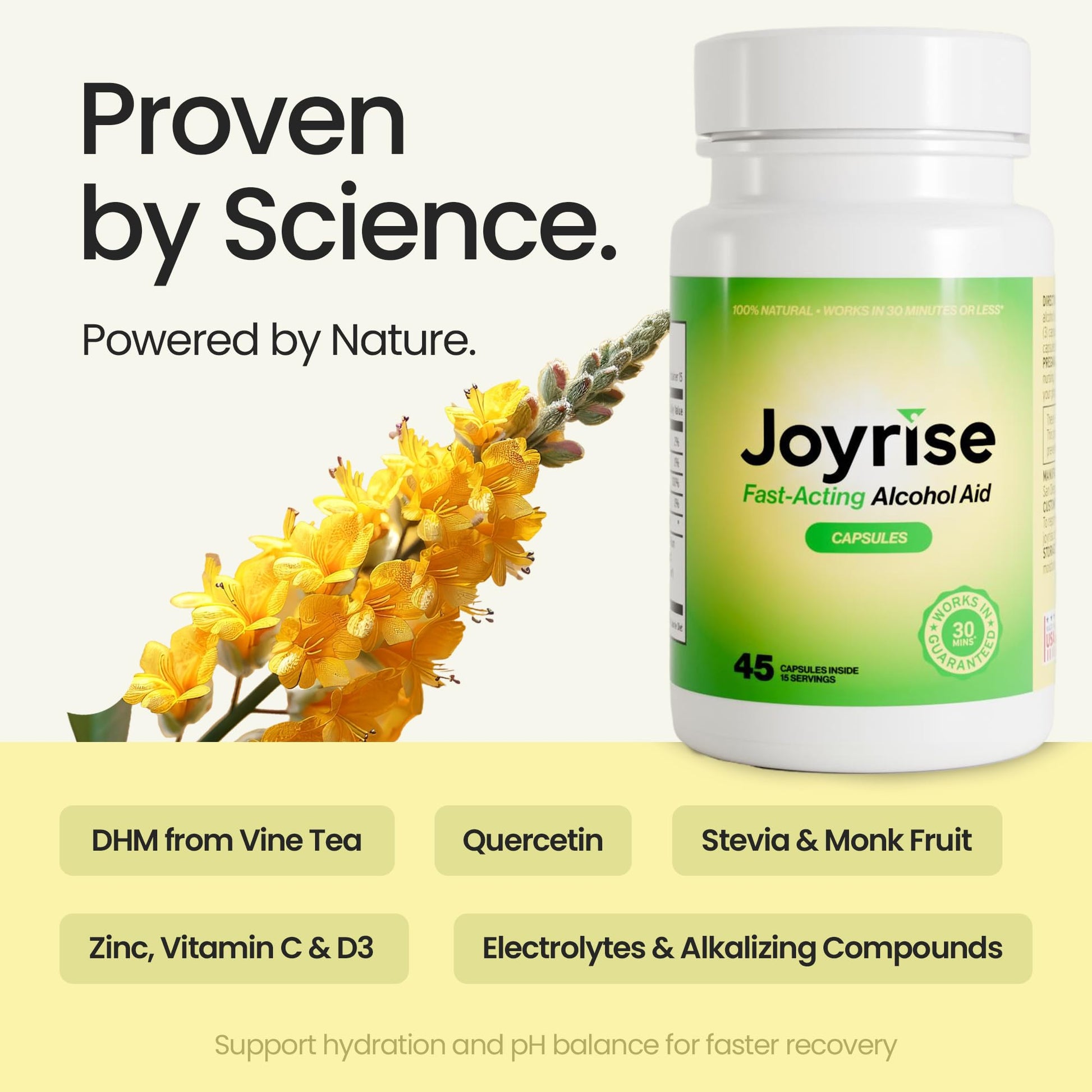Joyrise® After Drinking Aid – Fast Acting Capsules with DHM – Alcohol Metabolism Support, Liver Health, Rapid Bioavailability & Body Replenishment – 45 Capsules (15 Servings) Joyrise buy supplements canada