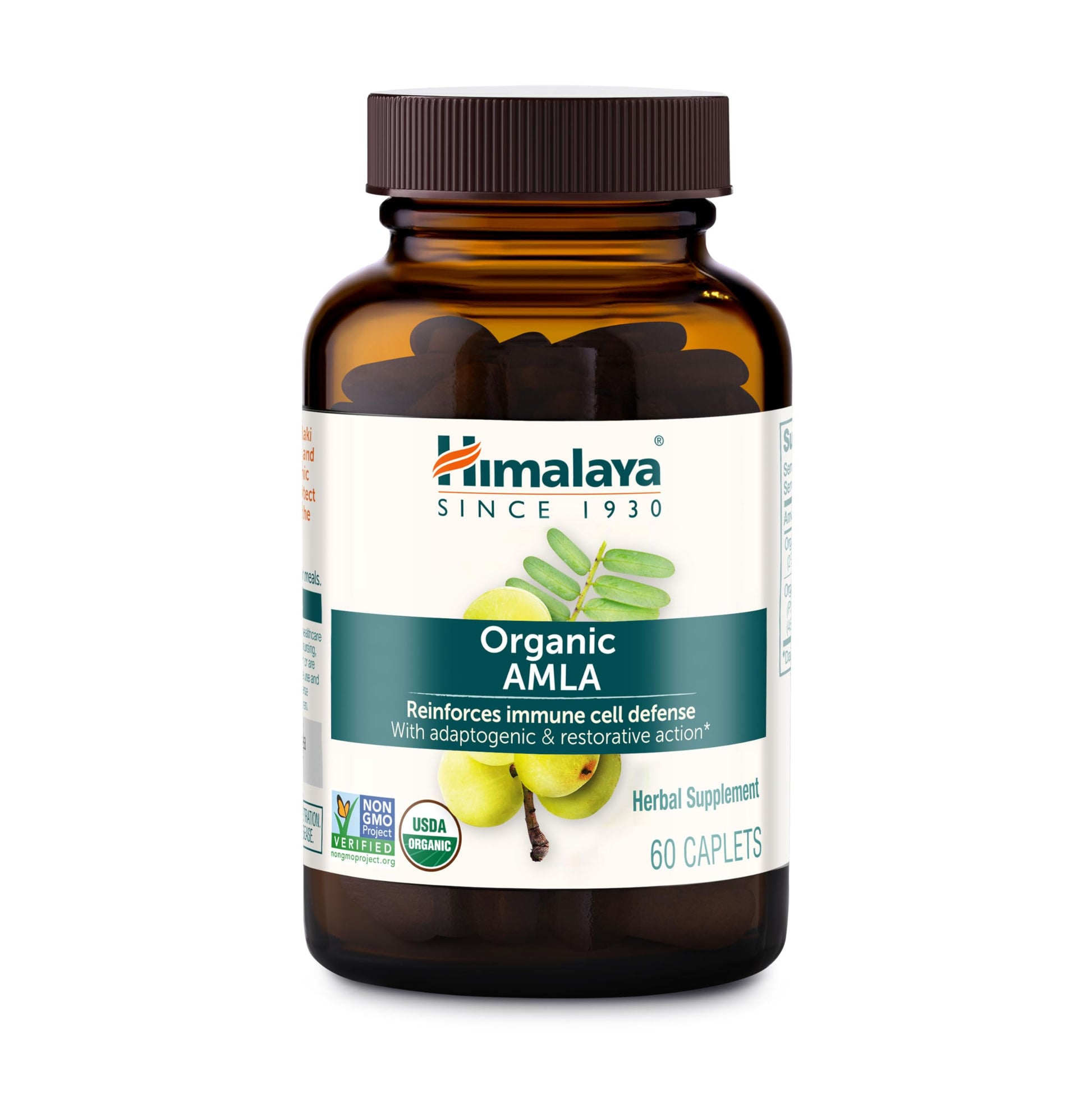 Himalaya Organic Amla - Herbal Immune Support Supplement with Adaptogen and Antioxidant - USDA Organic, Vegan Himalaya buy supplements canada