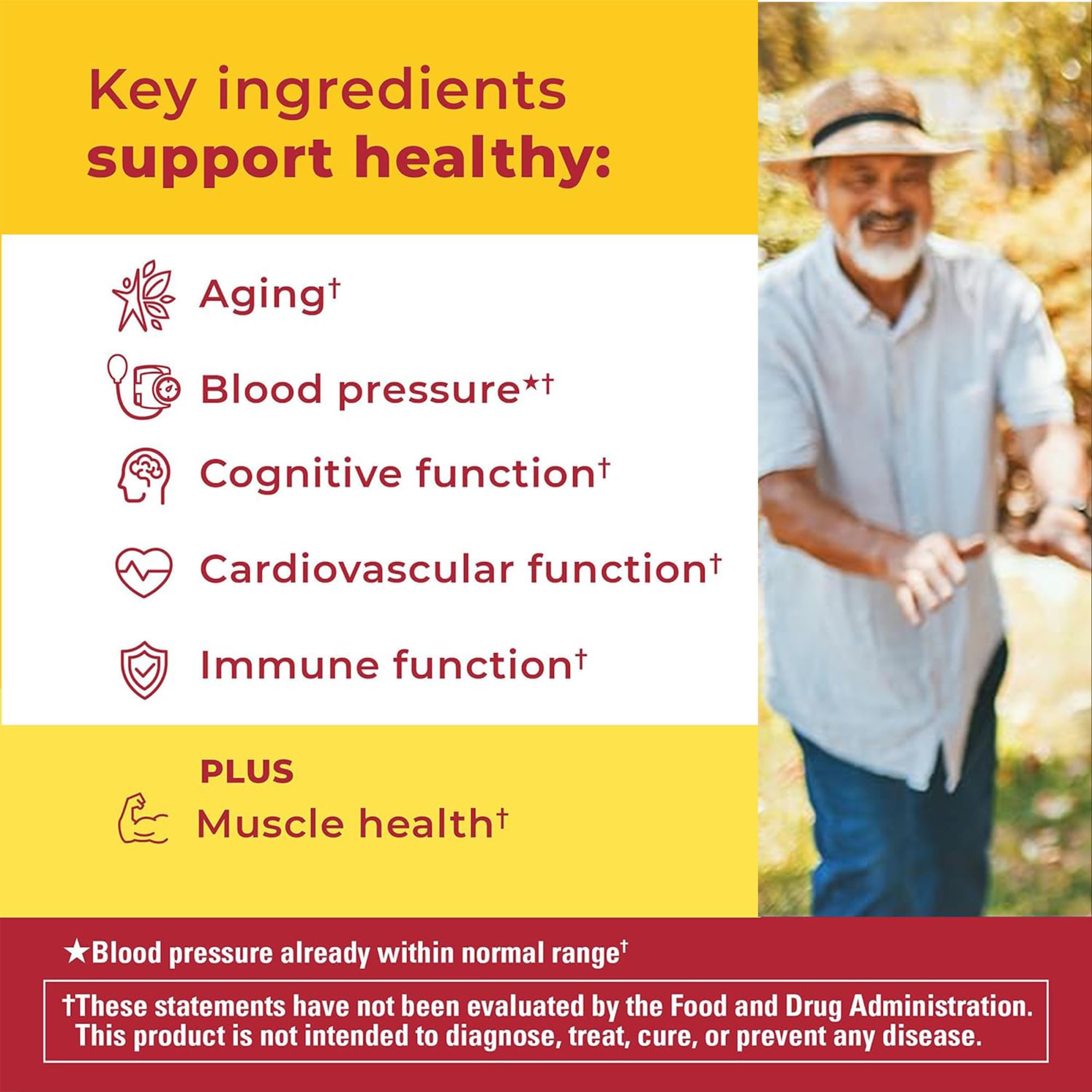 Nature Made Advanced Multivitamin Gummies 50 + for Him, Mens Multivitamins Gummies with Magnesium Citrate Nature Made buy supplements canada