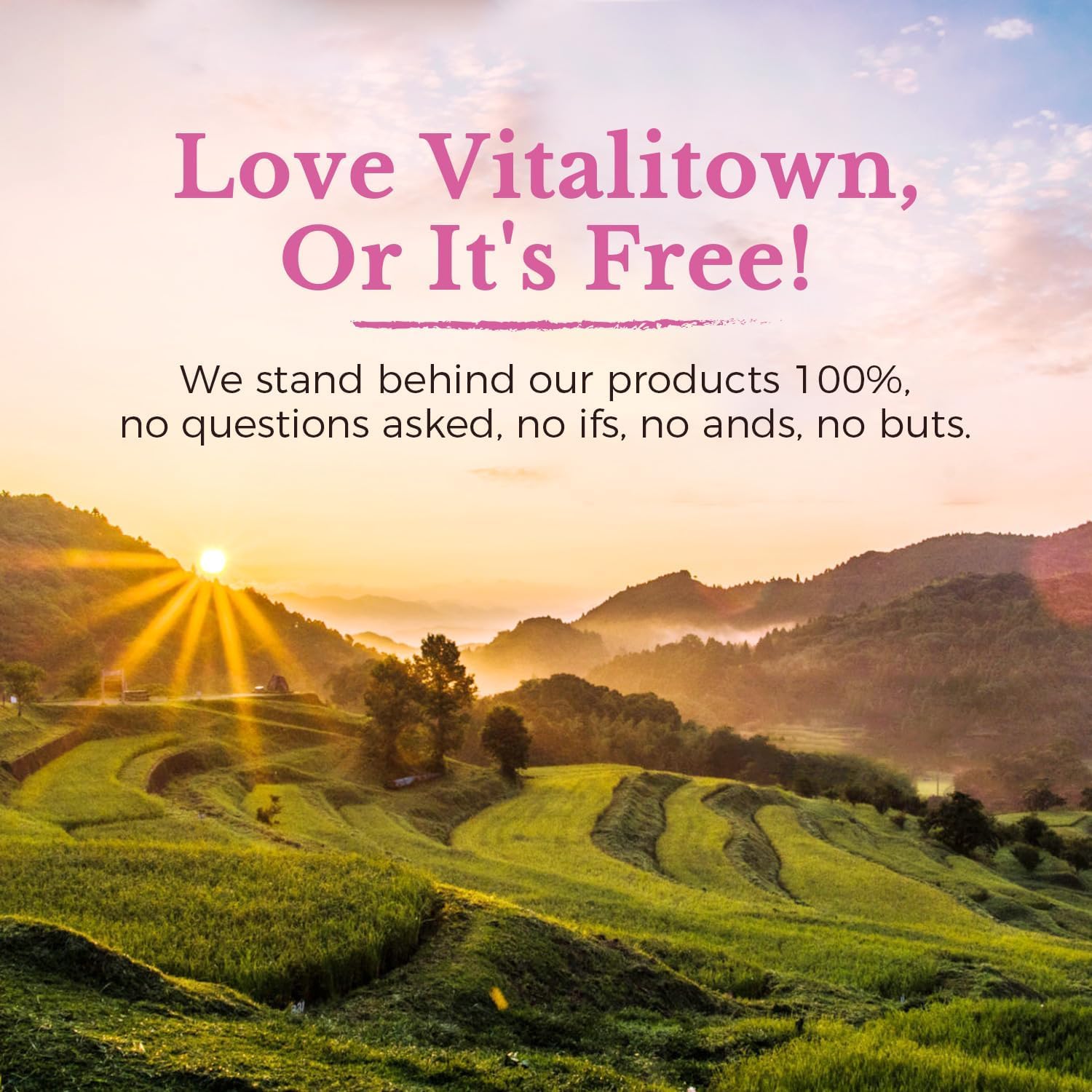 Vitalitown Women's Probiotics | 100 Billion CFUs 18 Strains | Prebiotics, VC & B6, Cranberry | Shelf Stable | Vaginal, Urinary Vitalitown buy supplements canada