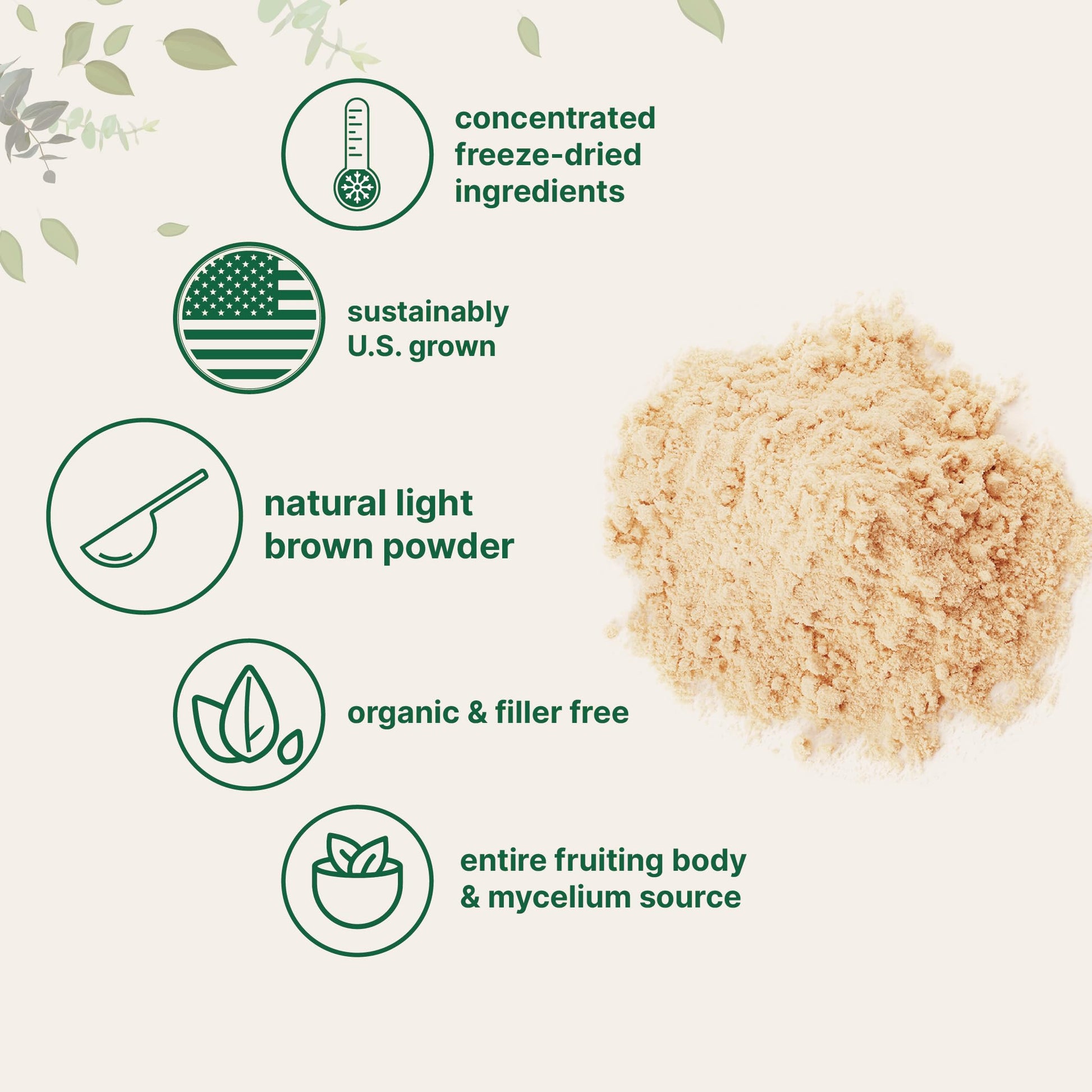 Micro Ingredients Organic Lions Mane Mushroom Supplement Powder 16 Ounce Micro Ingredients buy supplements canada