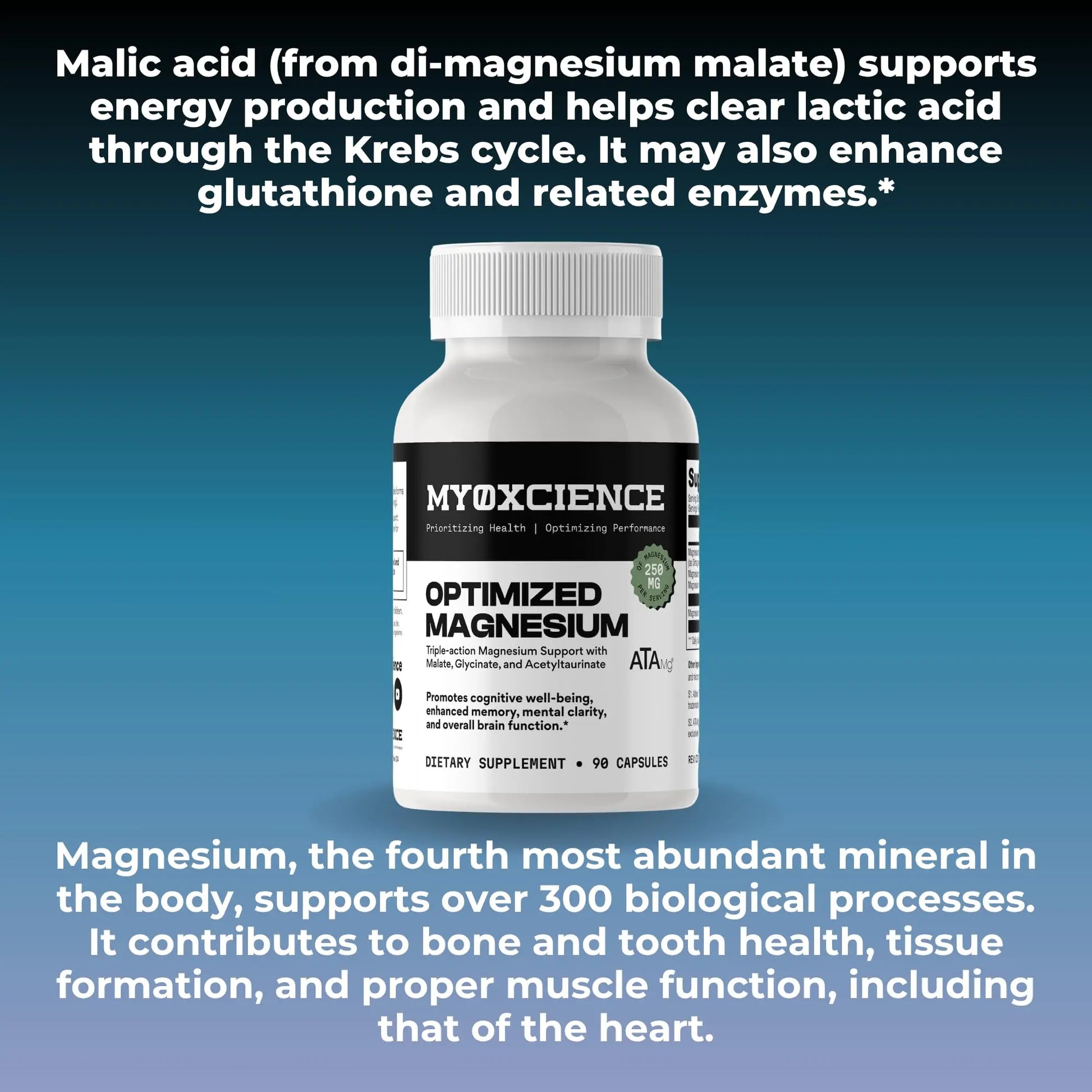 MYOXCIENCE Optimized Magnesium Glycinate + Magnesium Taurate (as ATAmag®) for High Brain Bioavailability to Support Stress Relief and Sleep | 30 Servings MYOXCIENCE buy supplements canada