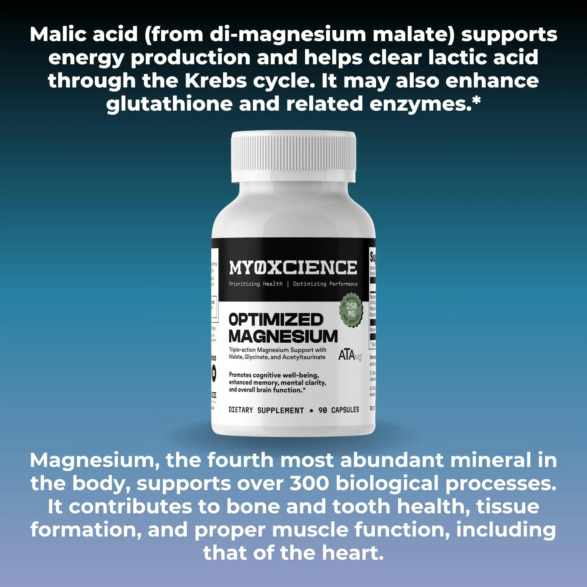 MYOXCIENCE Optimized Magnesium Glycinate + Magnesium Taurate (as ATAmag®) for High Brain Bioavailability to Support Stress Relief and Sleep | 30 Servings MYOXCIENCE buy supplements canada